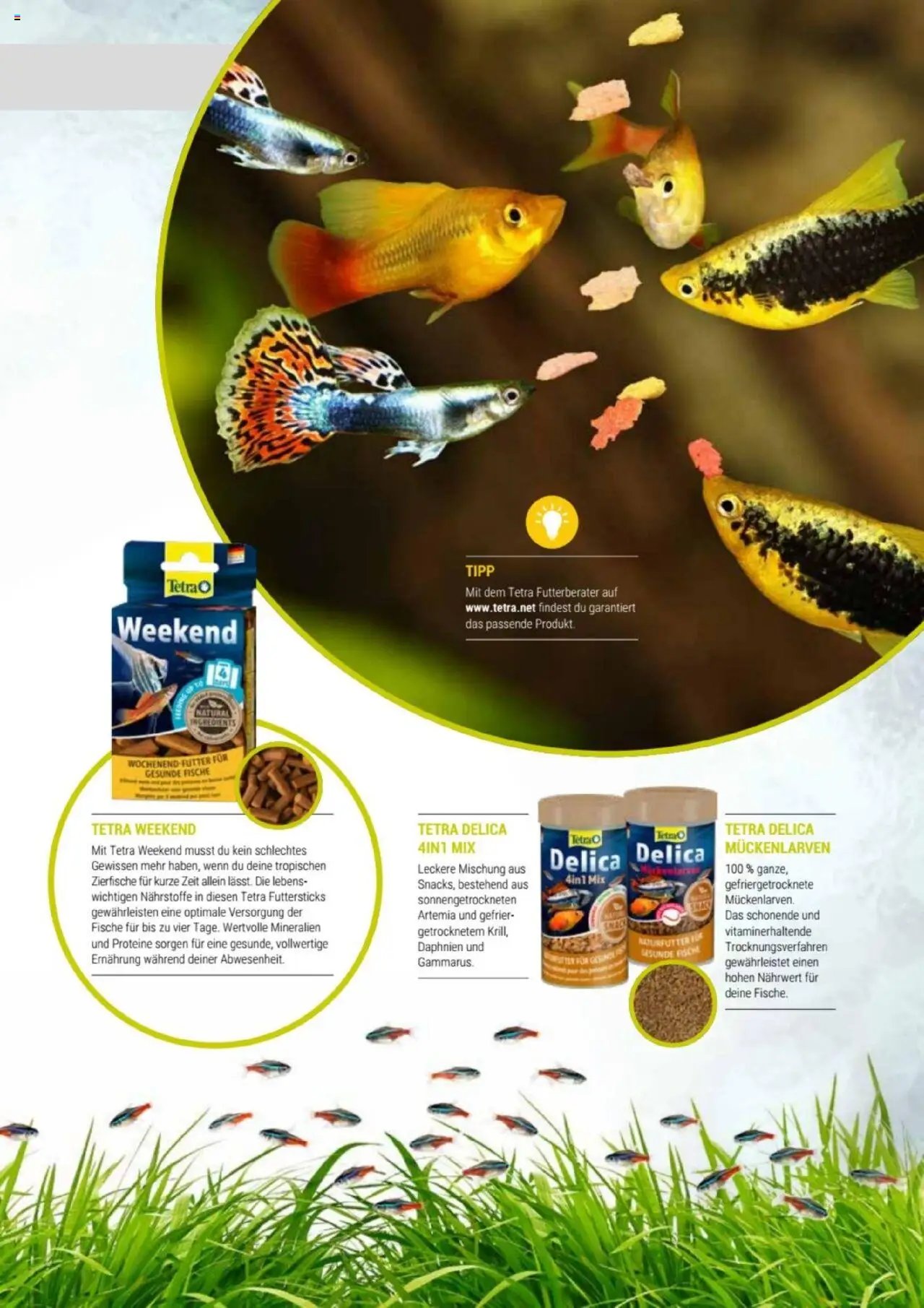 zookauf Themenkatalog Aquaristik