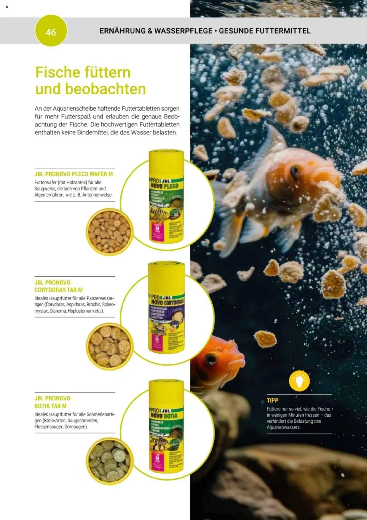 zookauf Themenkatalog Aquaristik
