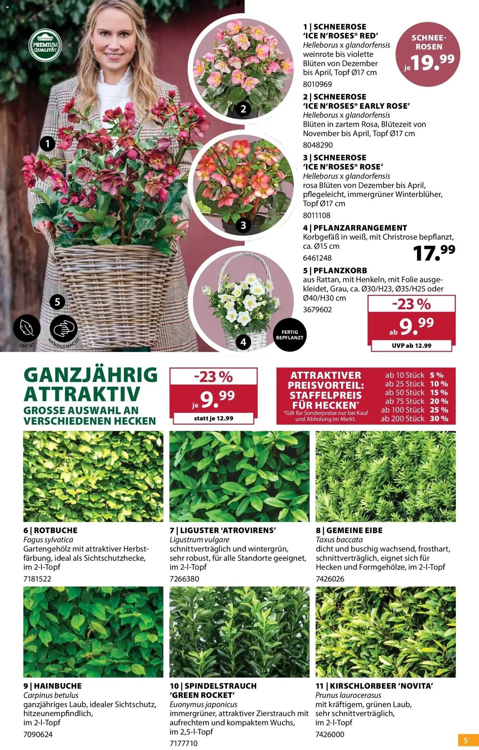 Dehner Prospekt