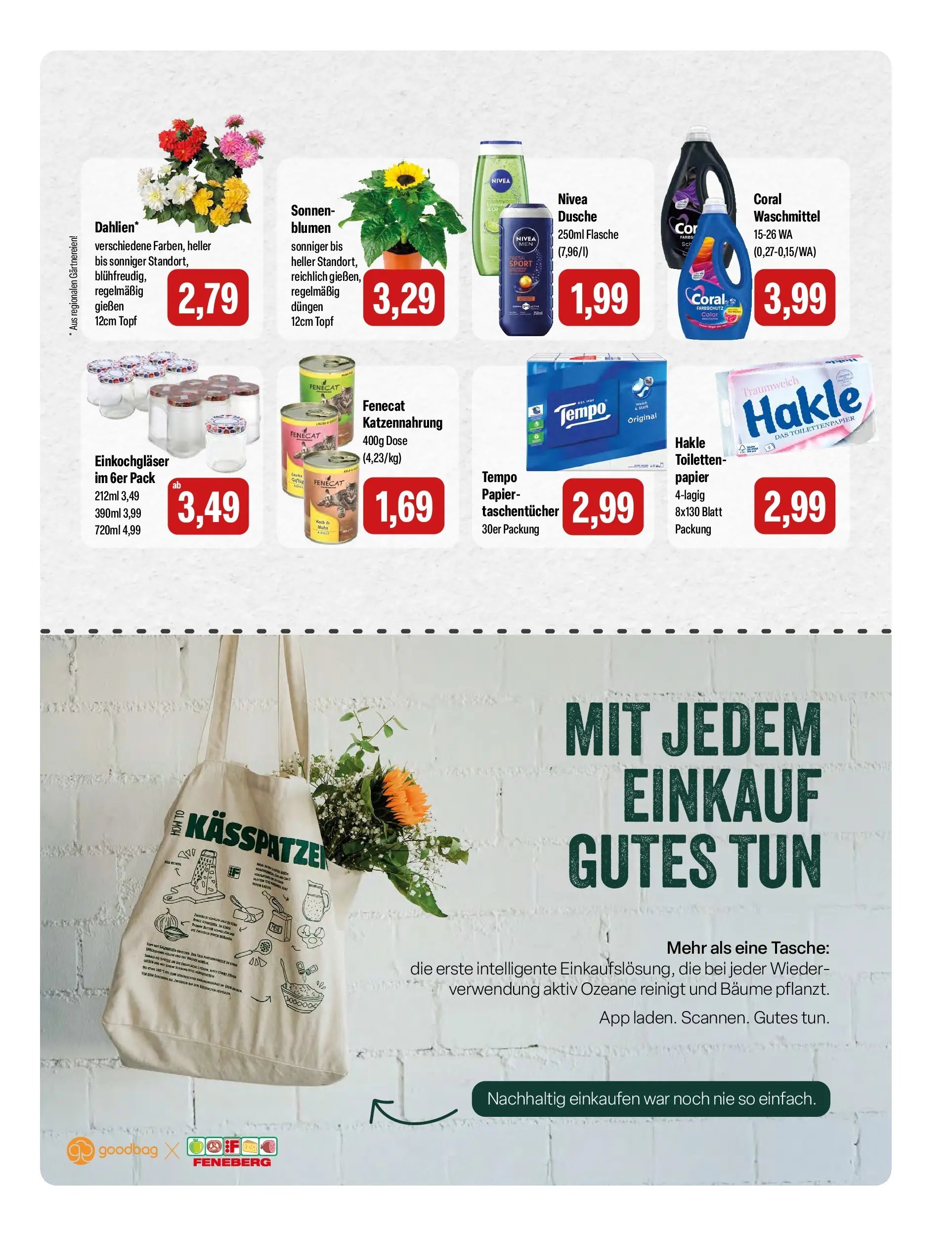 Feneberg Aktuelle Angebote