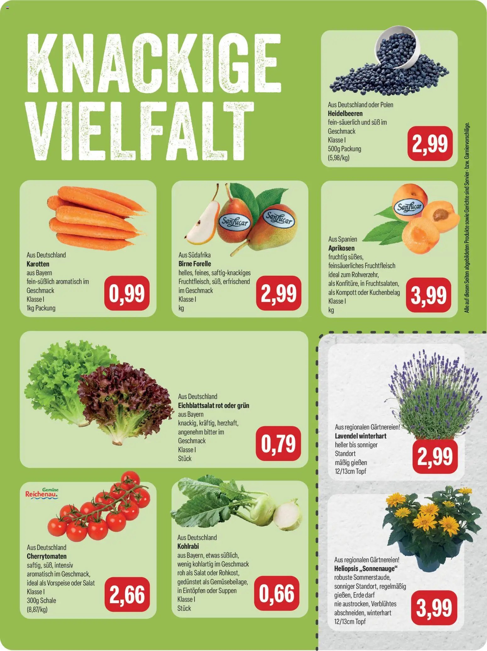 Feneberg Angebote