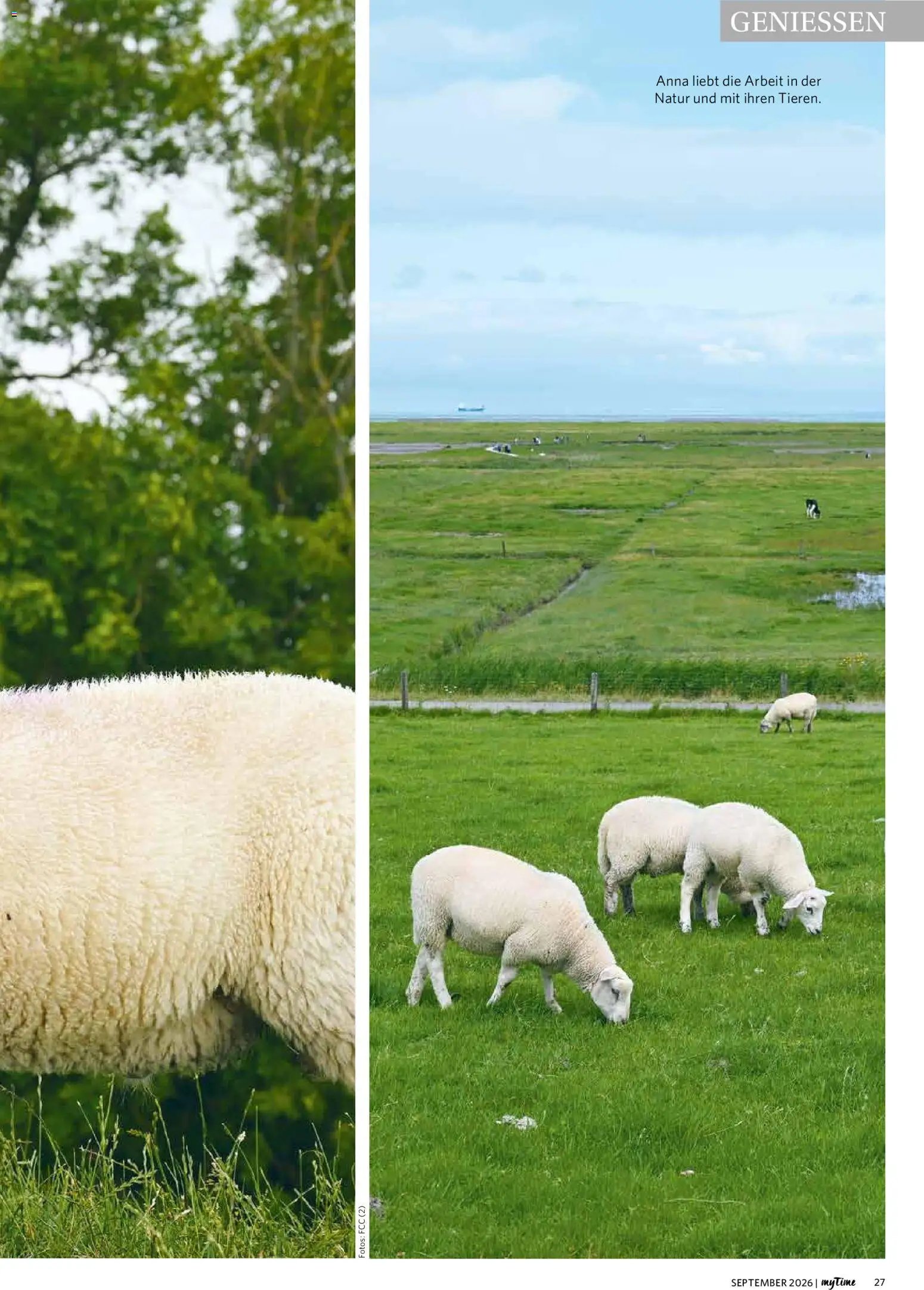 Famila Nordwest myTime September 2026