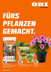Obi Prospekt 	 (2026-04-01 - 2026-04-30)