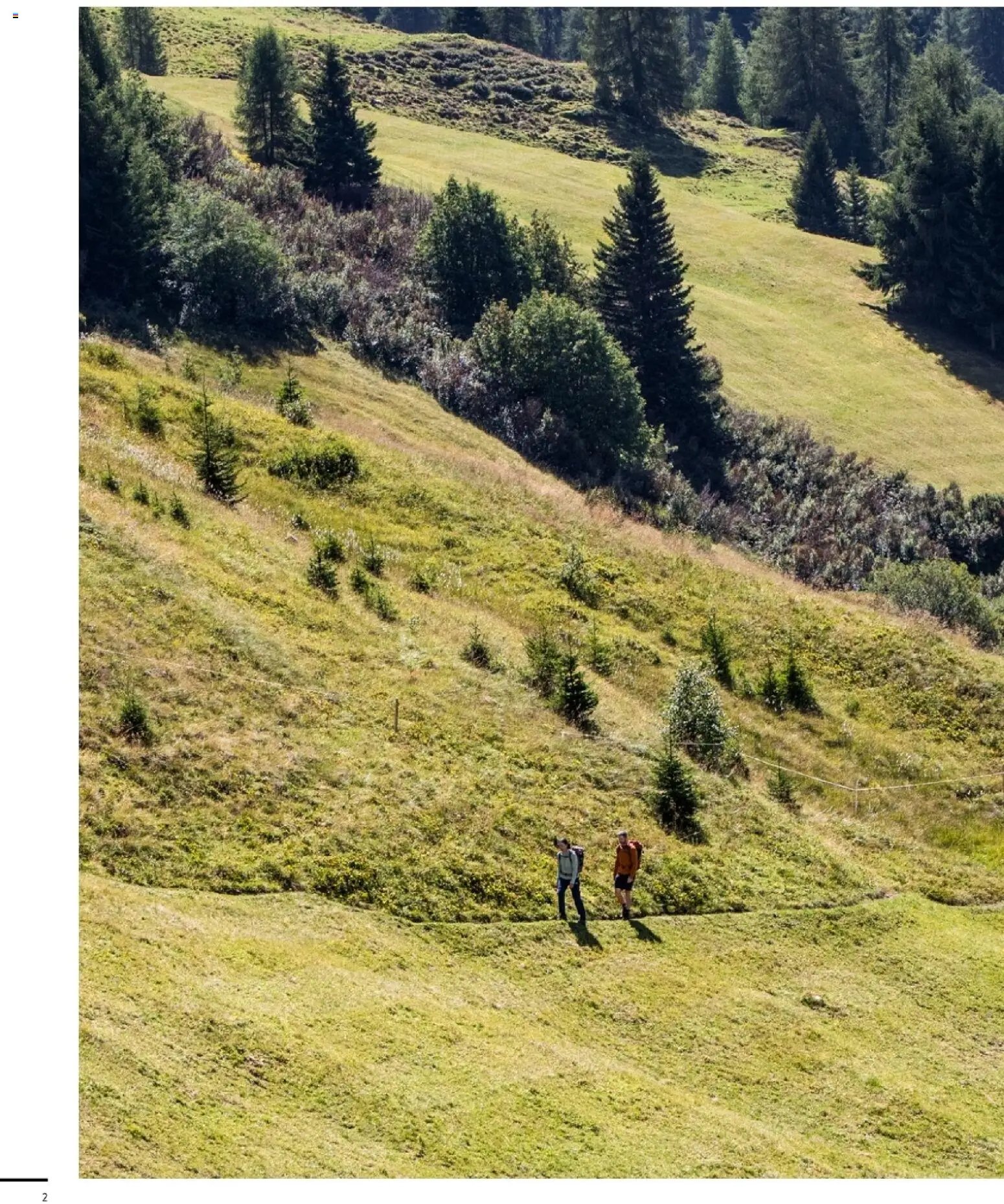 Sport2000 Prospekt Frühjahr 2026