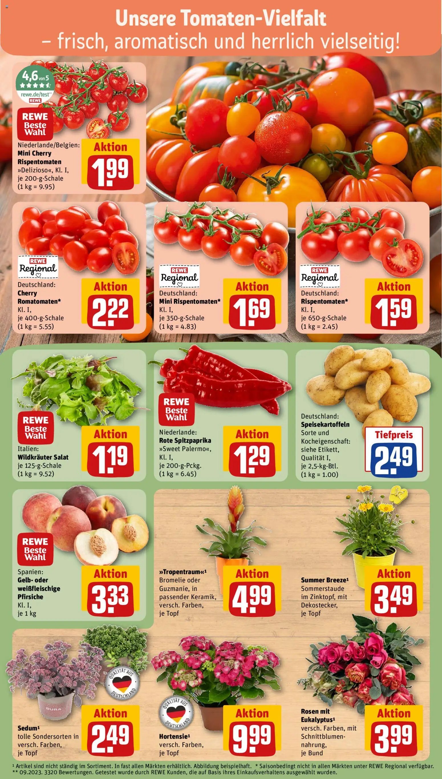 Rewe ihr Kaufpark Prospekt