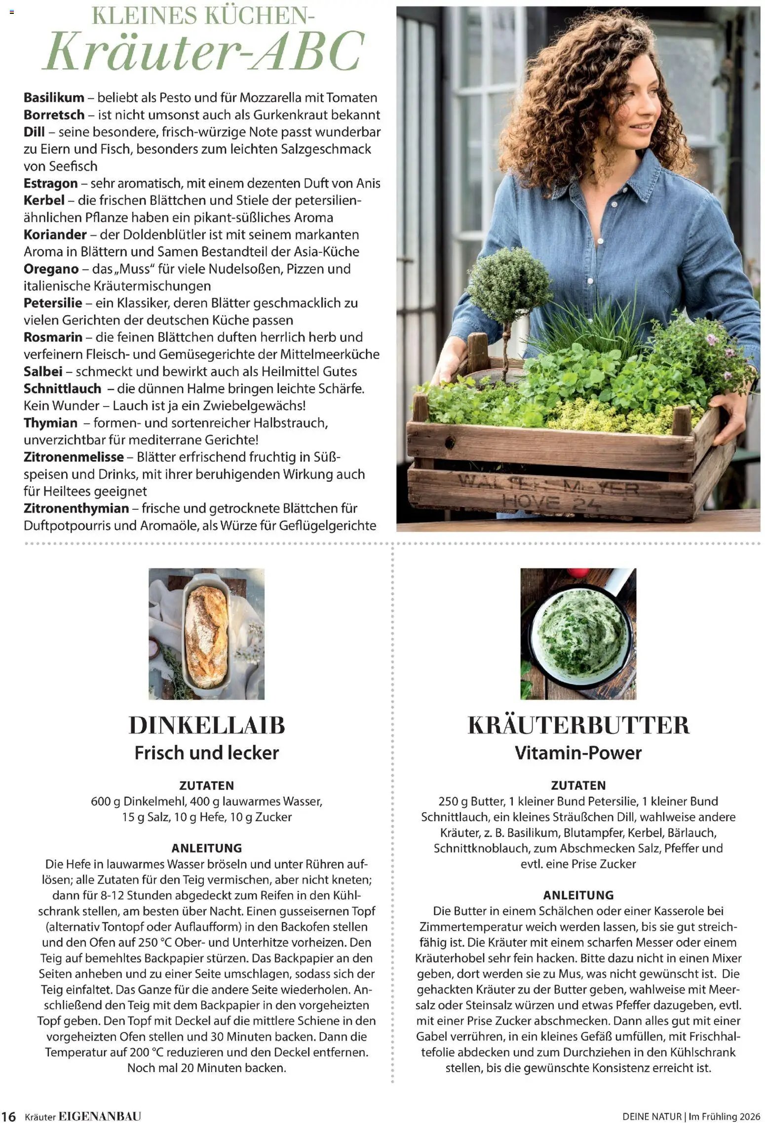 Dehner Prospekt 	