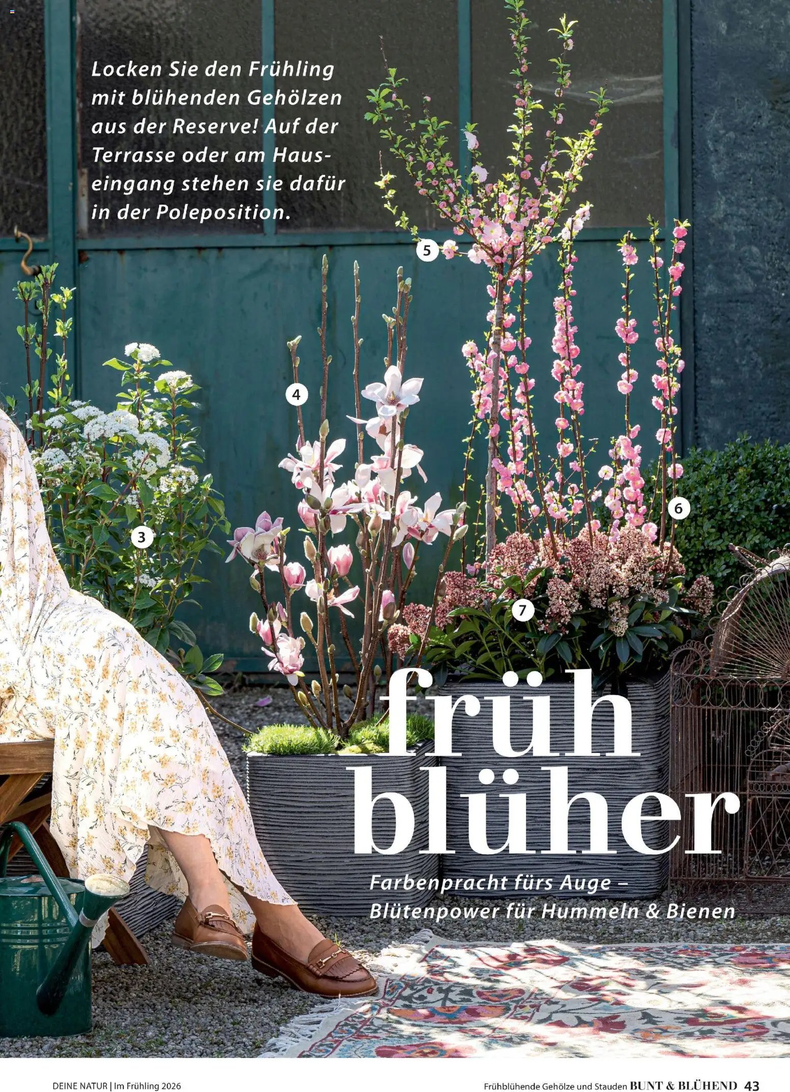 Dehner Prospekt 	 (2026-03-04 - 2026-05-31)