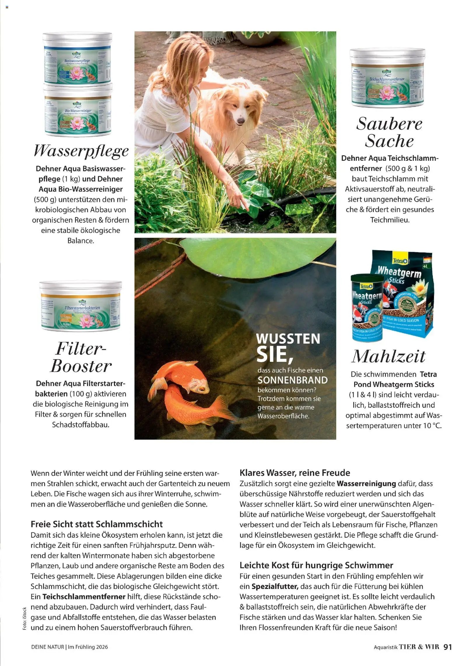 Dehner Prospekt 	