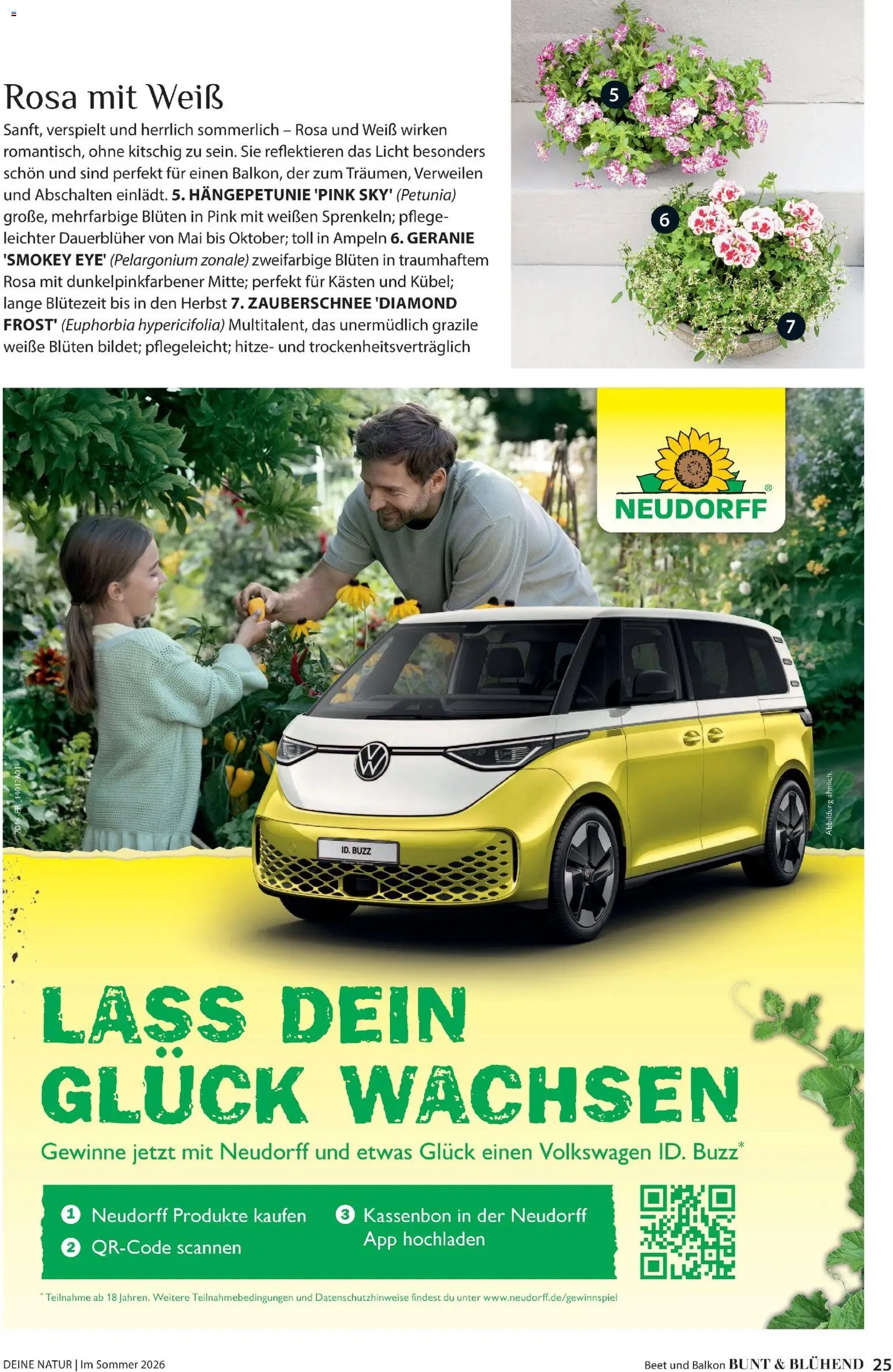 Dehner Prospekt 	