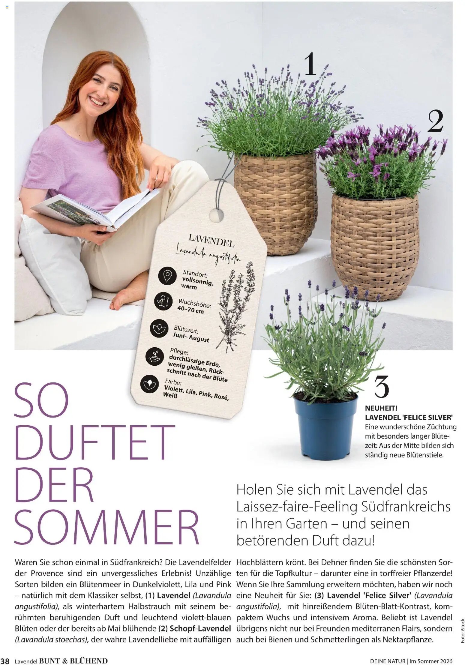 Dehner Prospekt 	 (2026-04-17 - 2026-08-31)