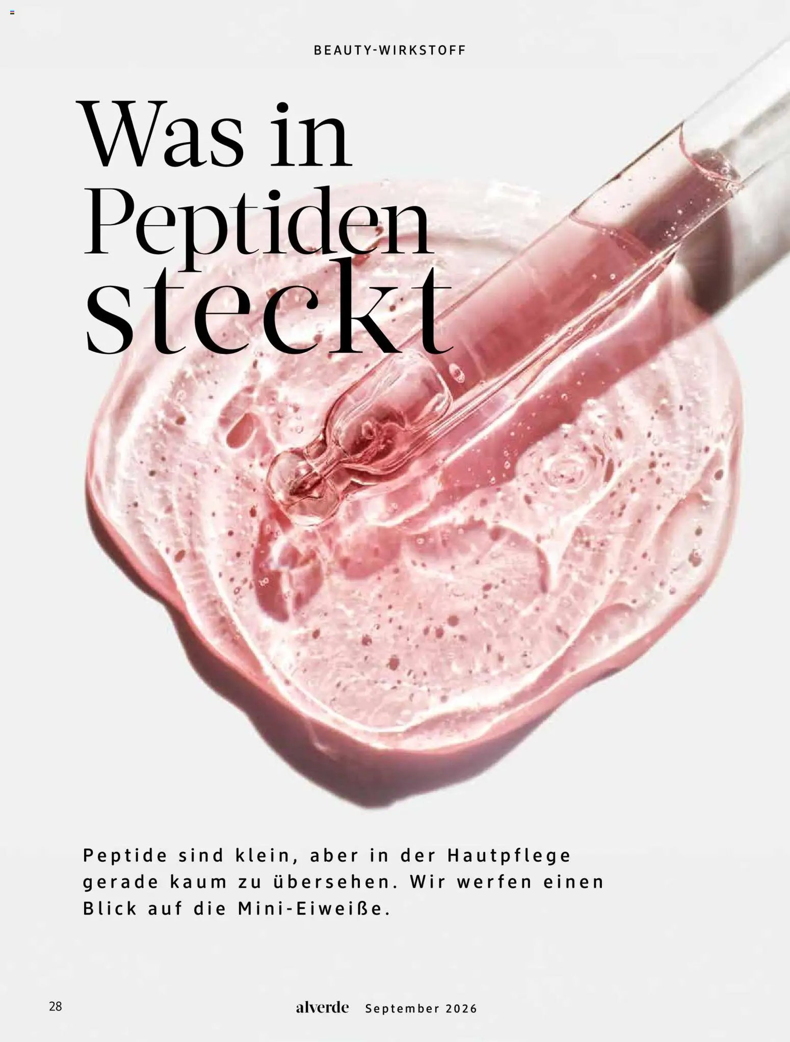 dm drogerie Prospekt