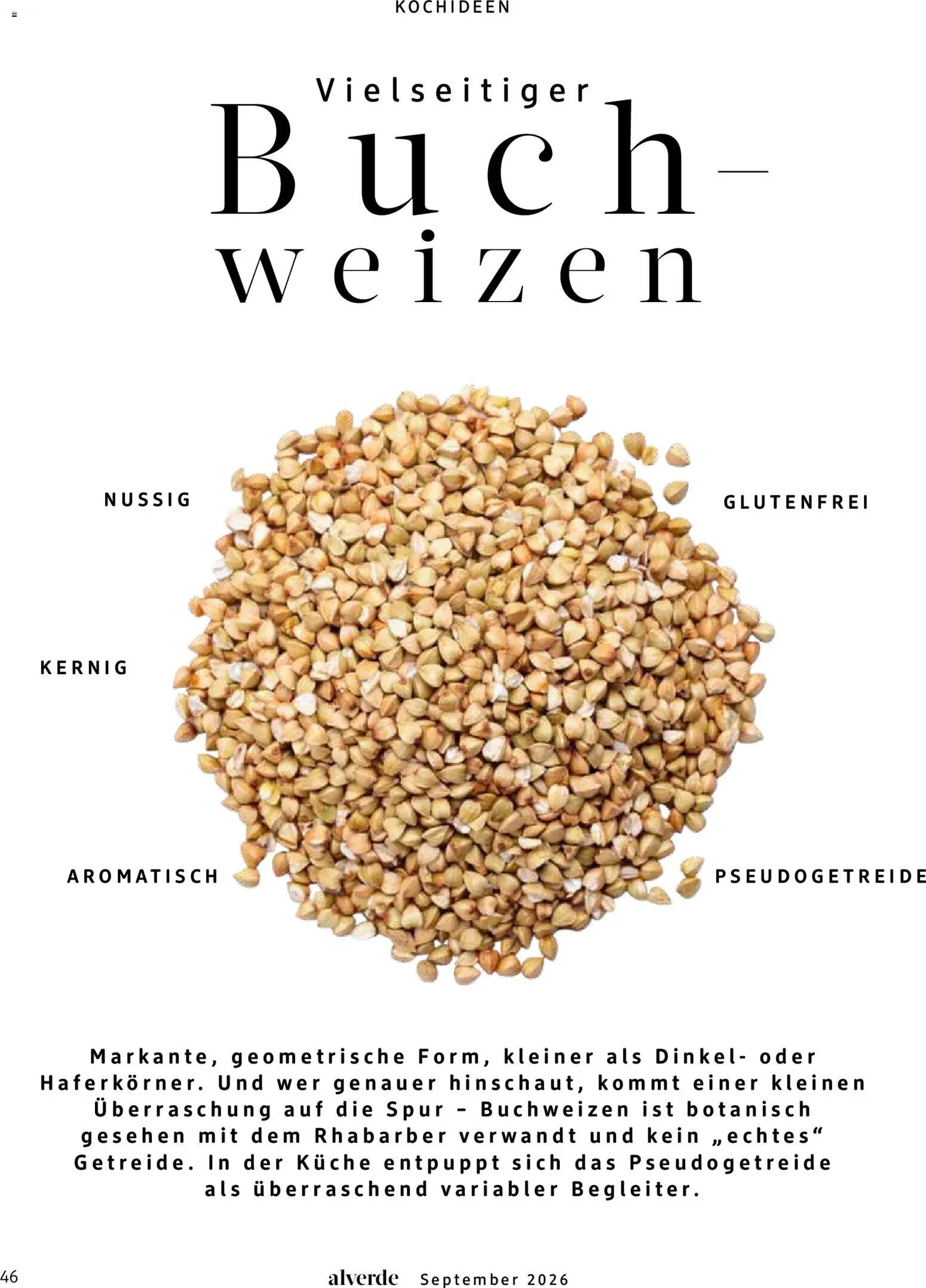 dm drogerie Prospekt