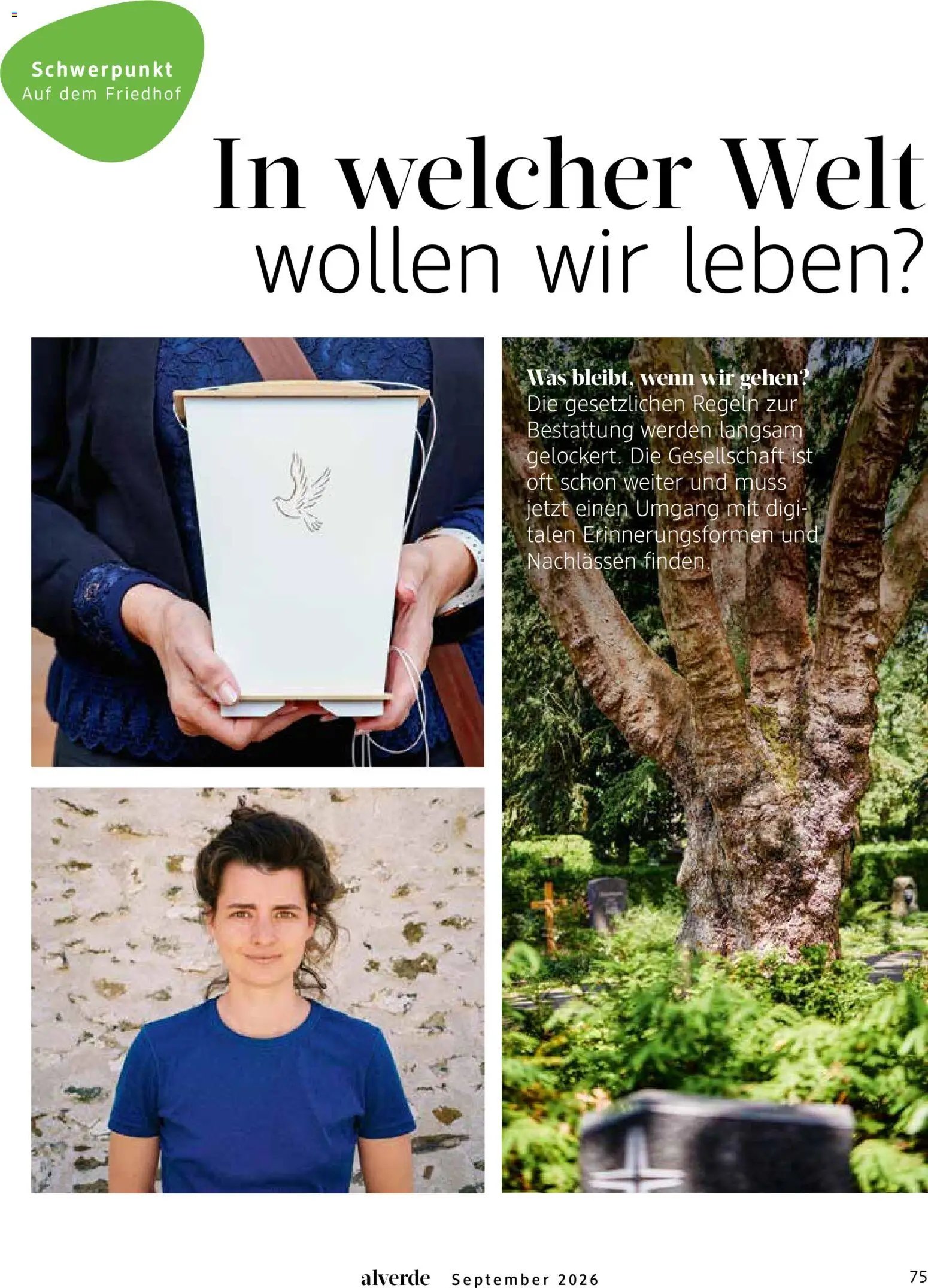 dm drogerie Prospekt