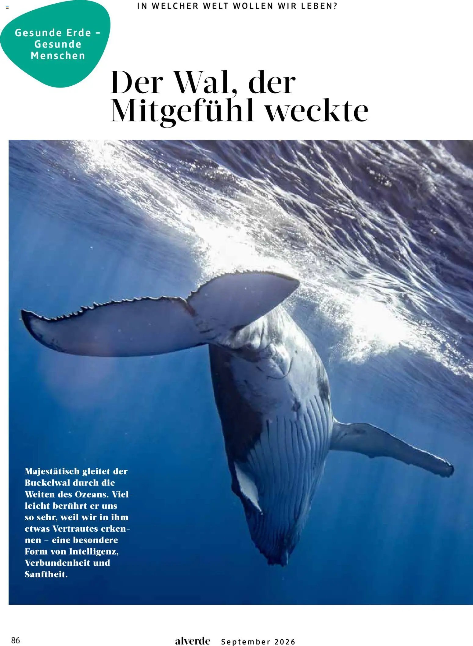 dm drogerie Prospekt