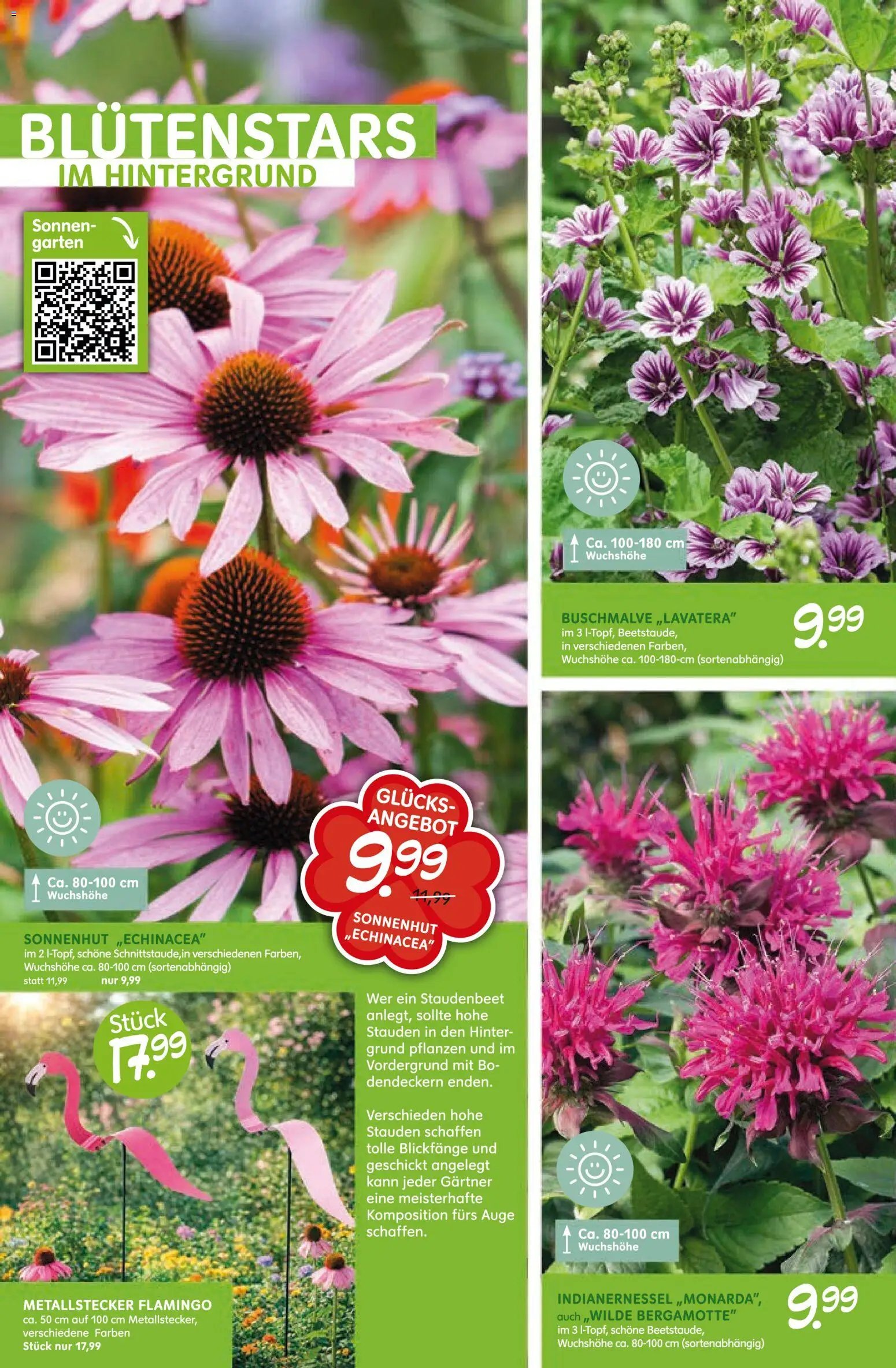 Blumen Risse Blütenglück