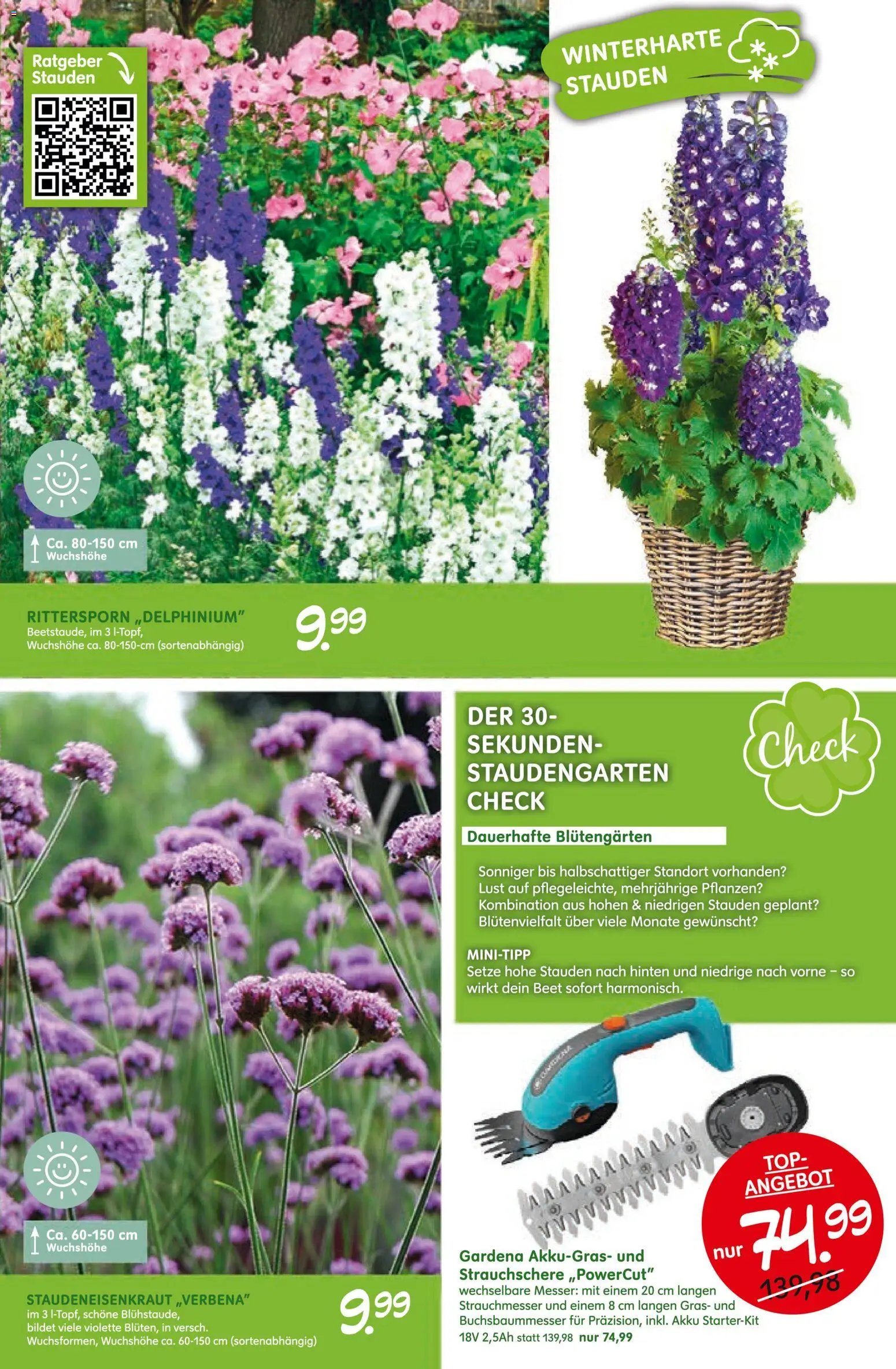 Blumen Risse Blütenglück