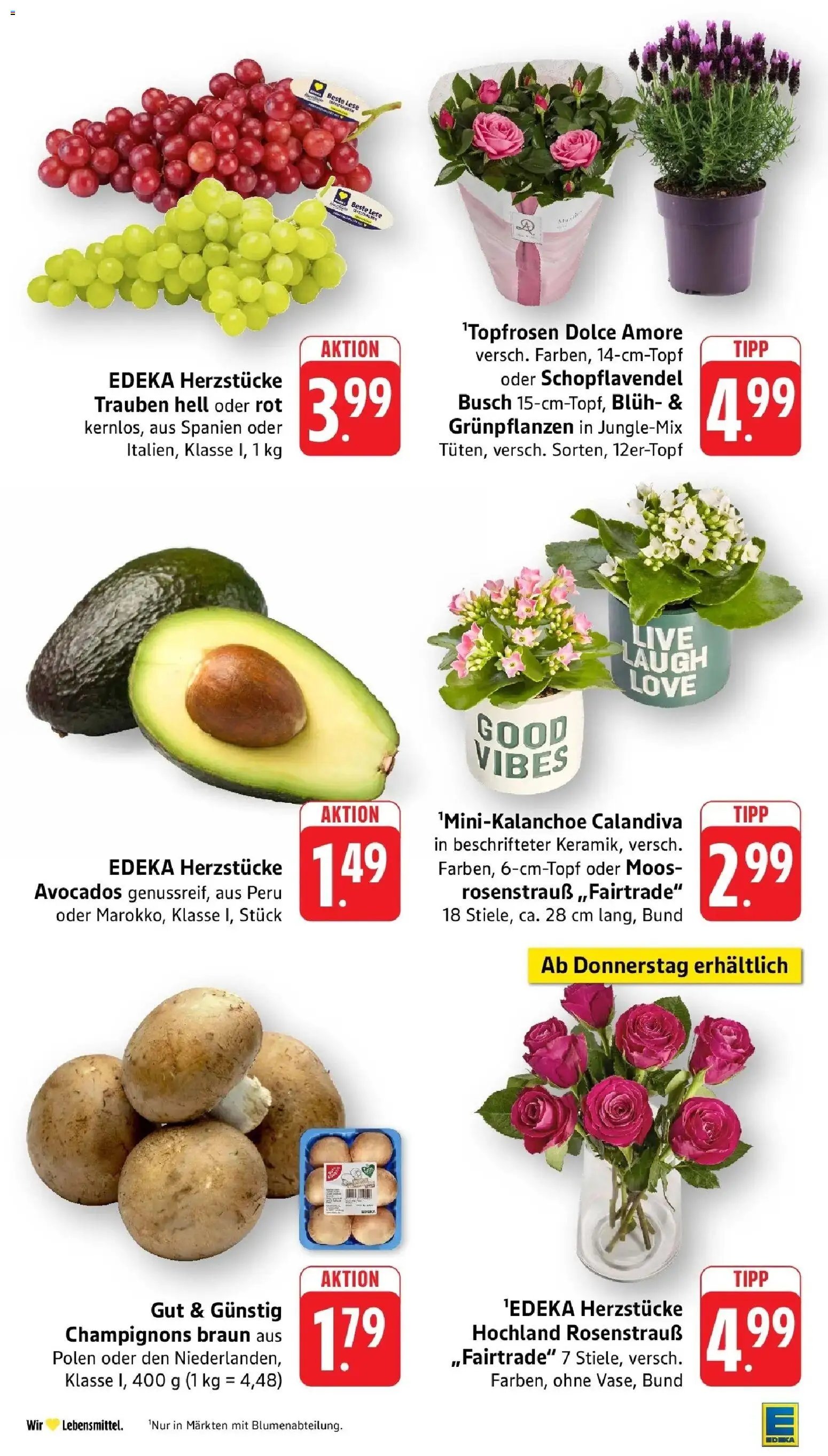 Edeka Prospekt Steinau