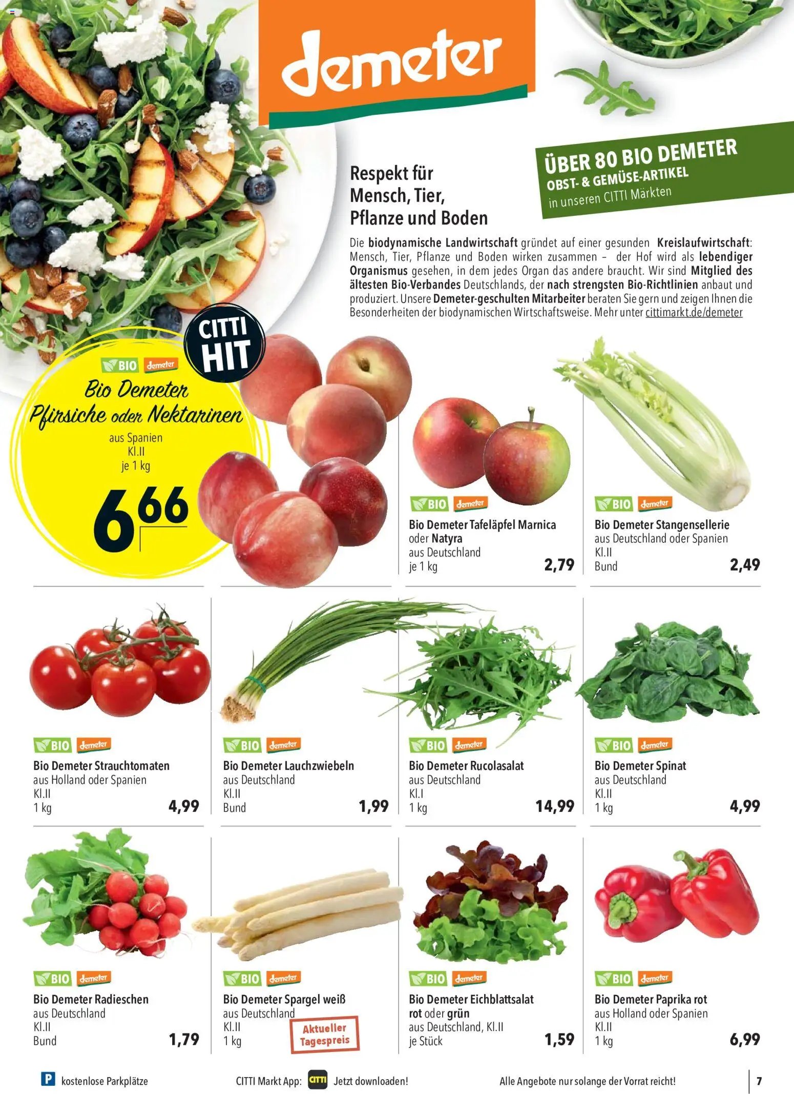 CITTI Markt Prospekt