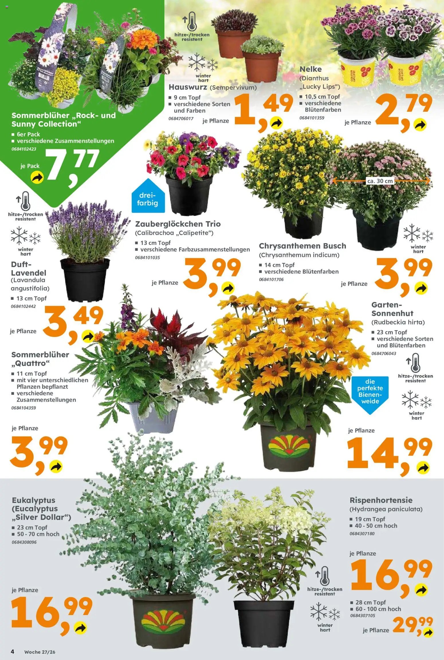 Globus Baumarkt Prospekt Dietzenbach