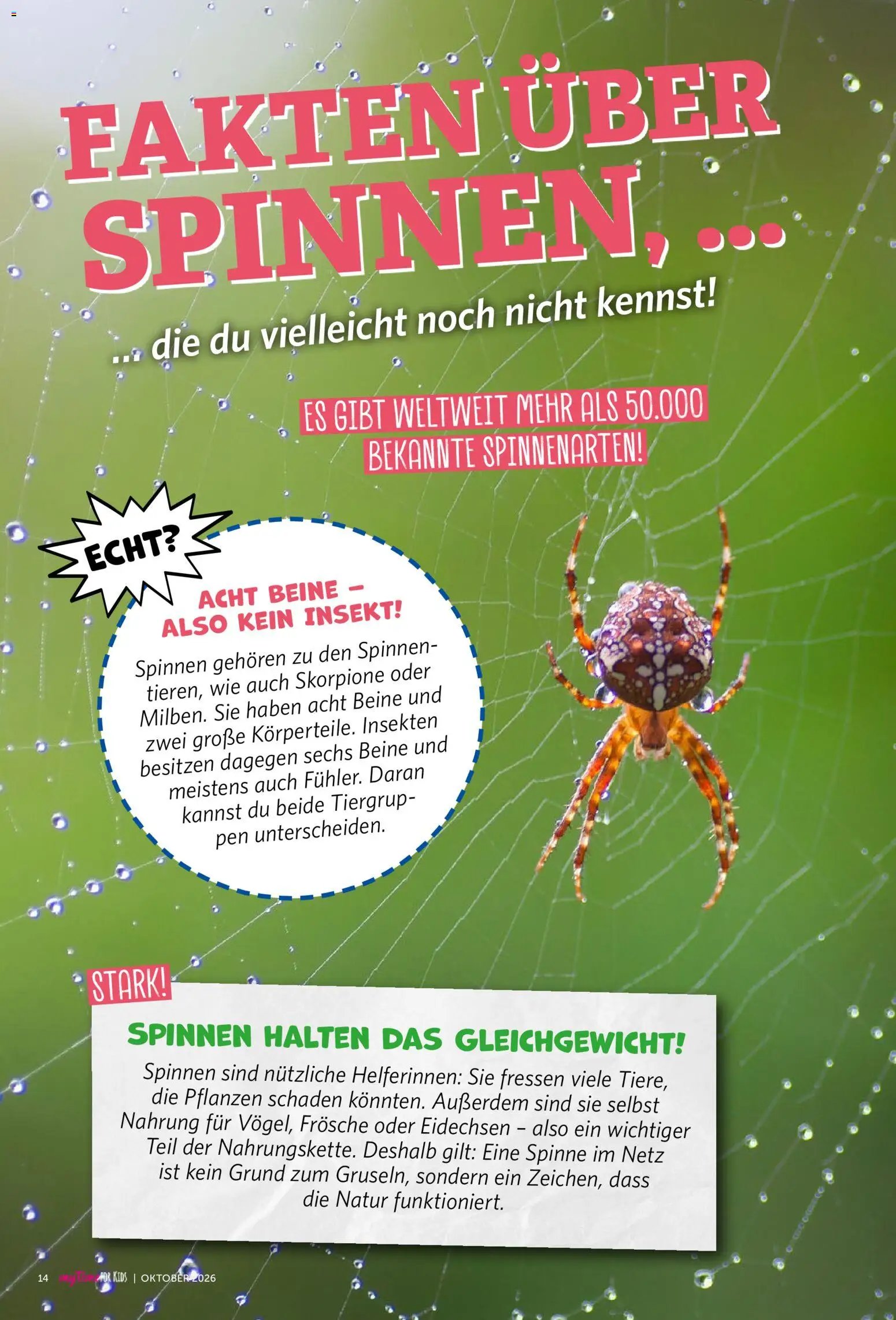 Famila Nordwest myTime Oktober 2026