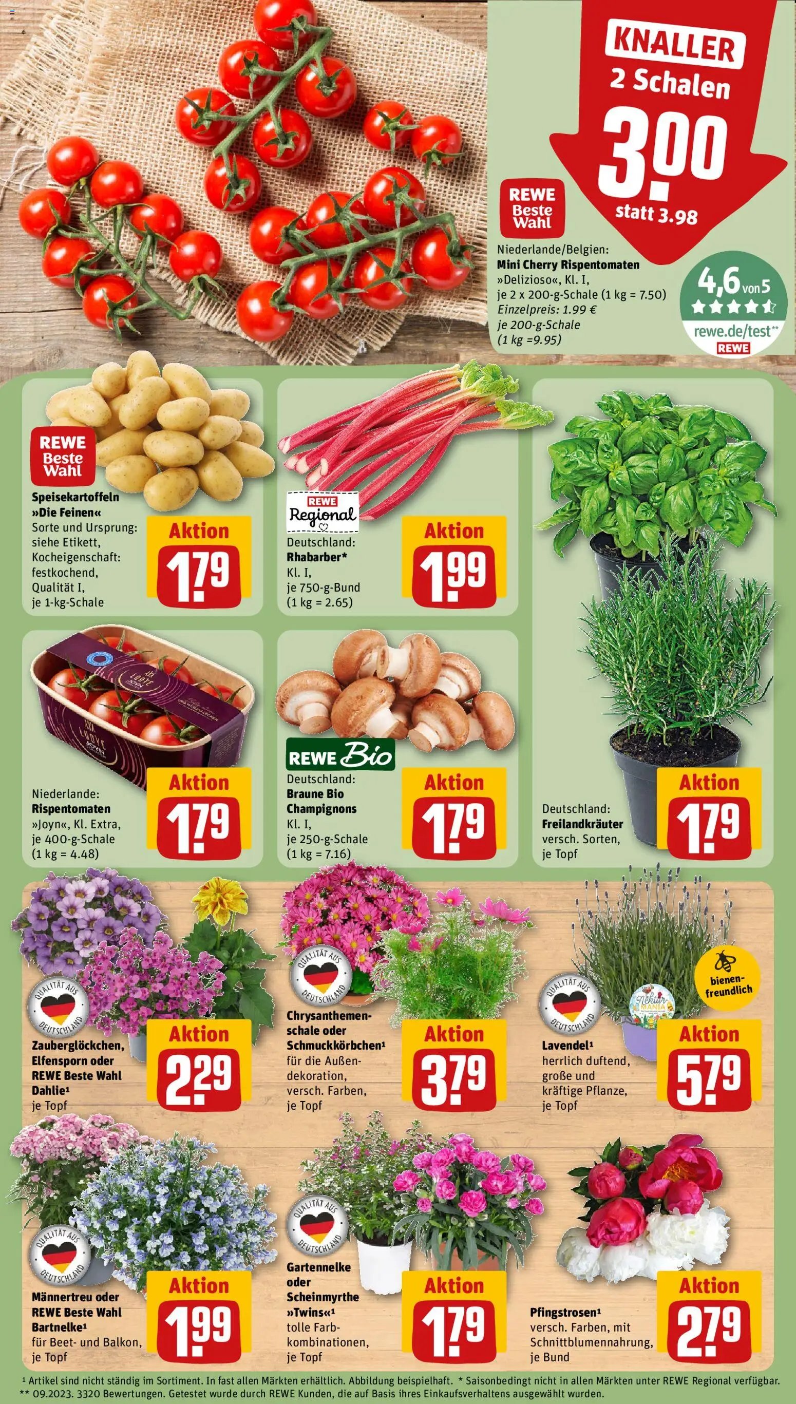 Rewe ihr Kaufpark Prospekt