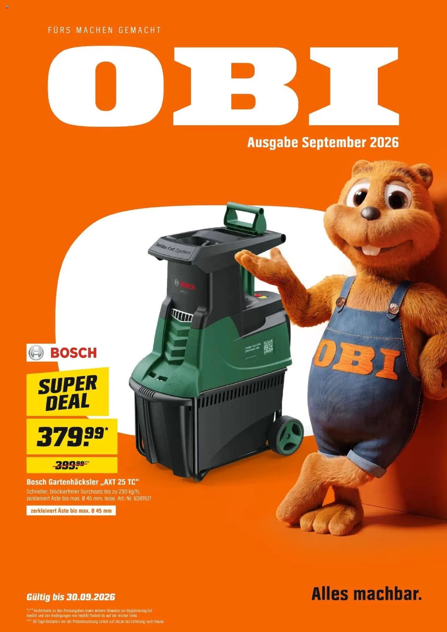 Obi Prospekt Rüsselsheim