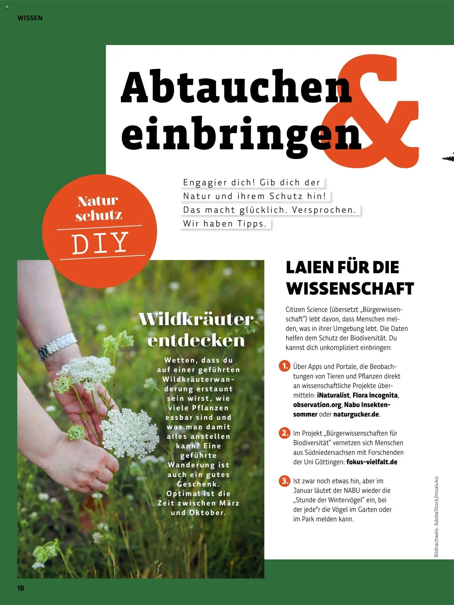 Denns BioMarkt Kreo Magazin