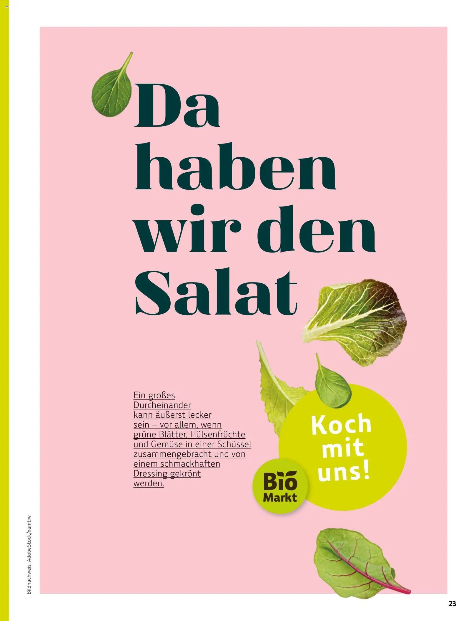Denns BioMarkt Kreo Magazin
