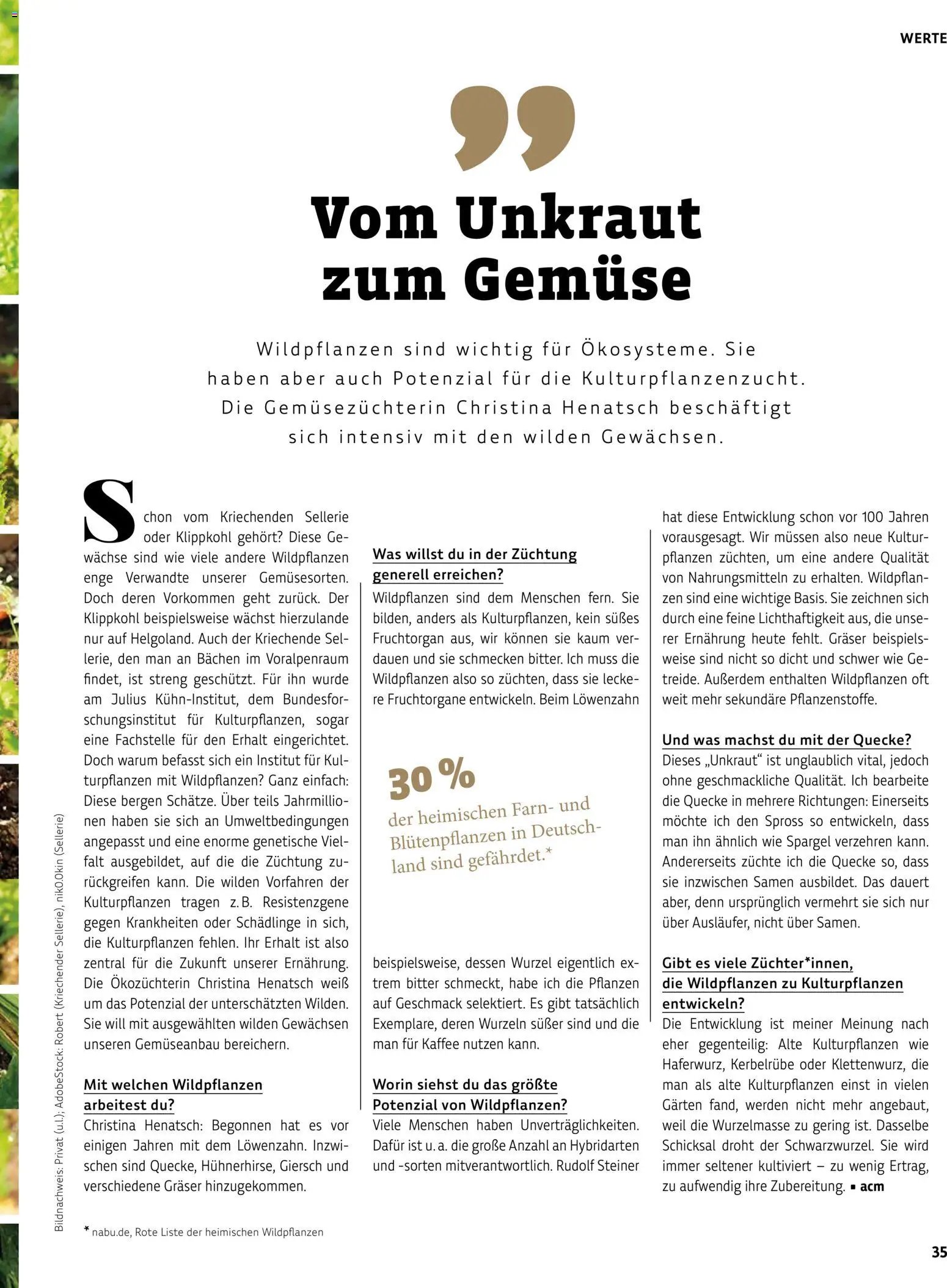 Denns BioMarkt Kreo Magazin