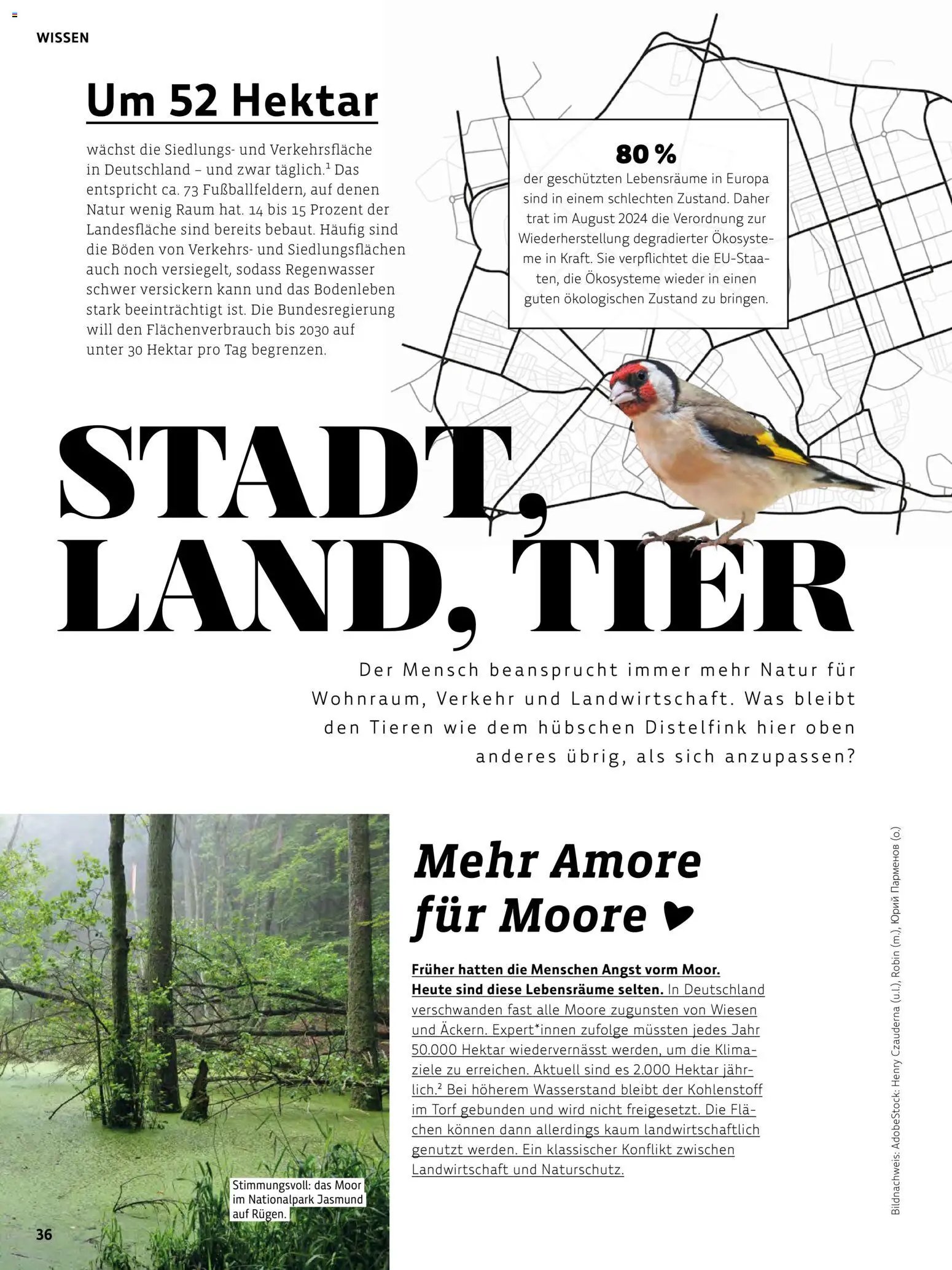Denns BioMarkt Kreo Magazin