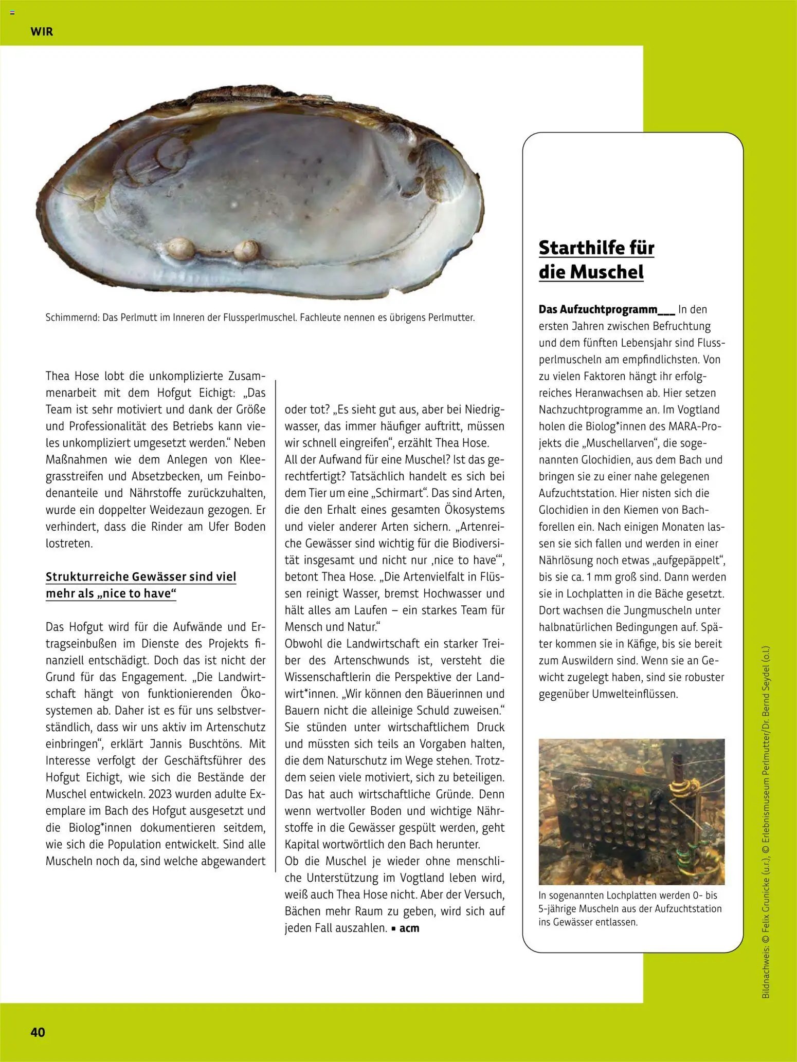 Denns BioMarkt Kreo Magazin
