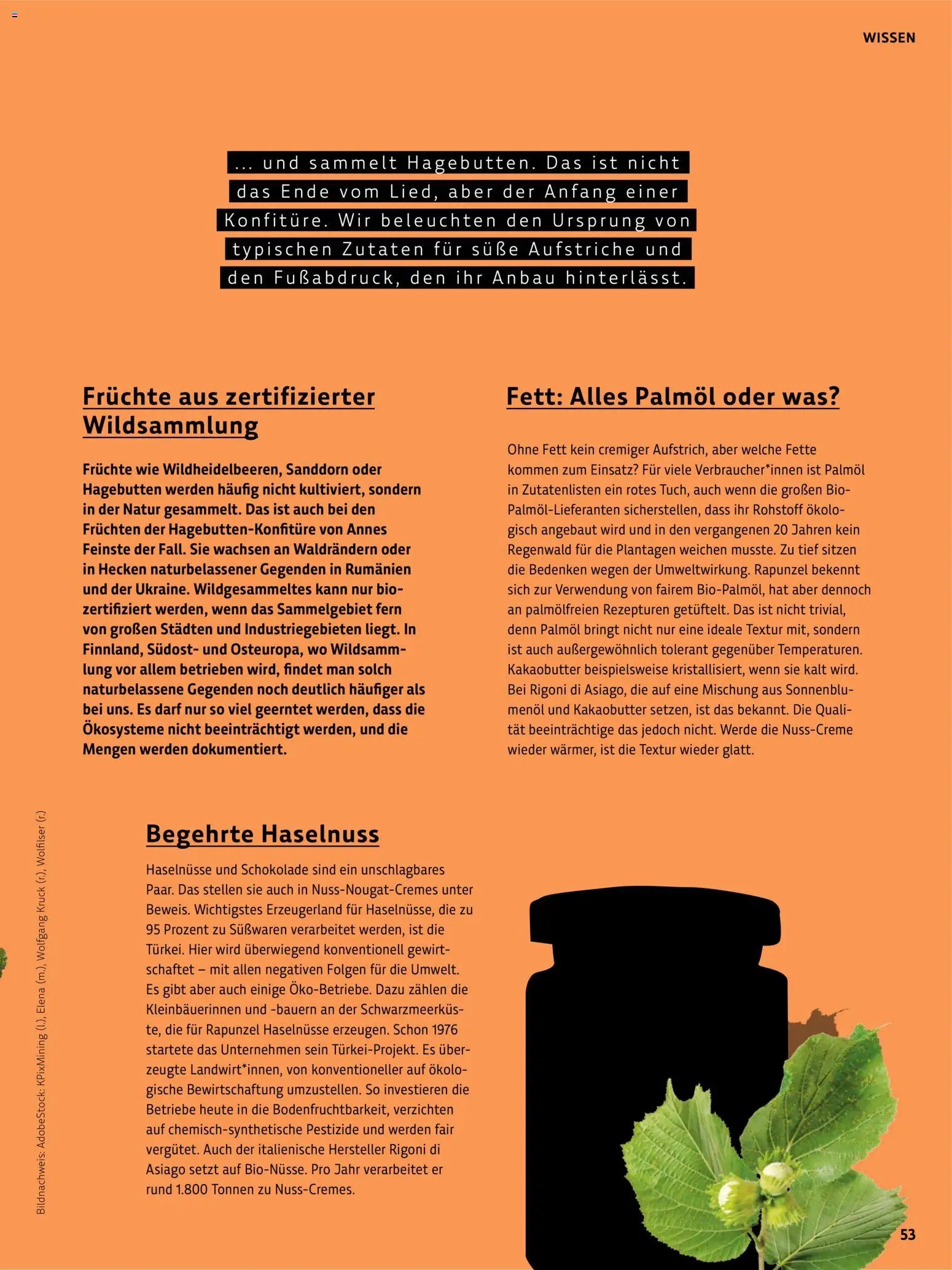 Denns BioMarkt Kreo Magazin