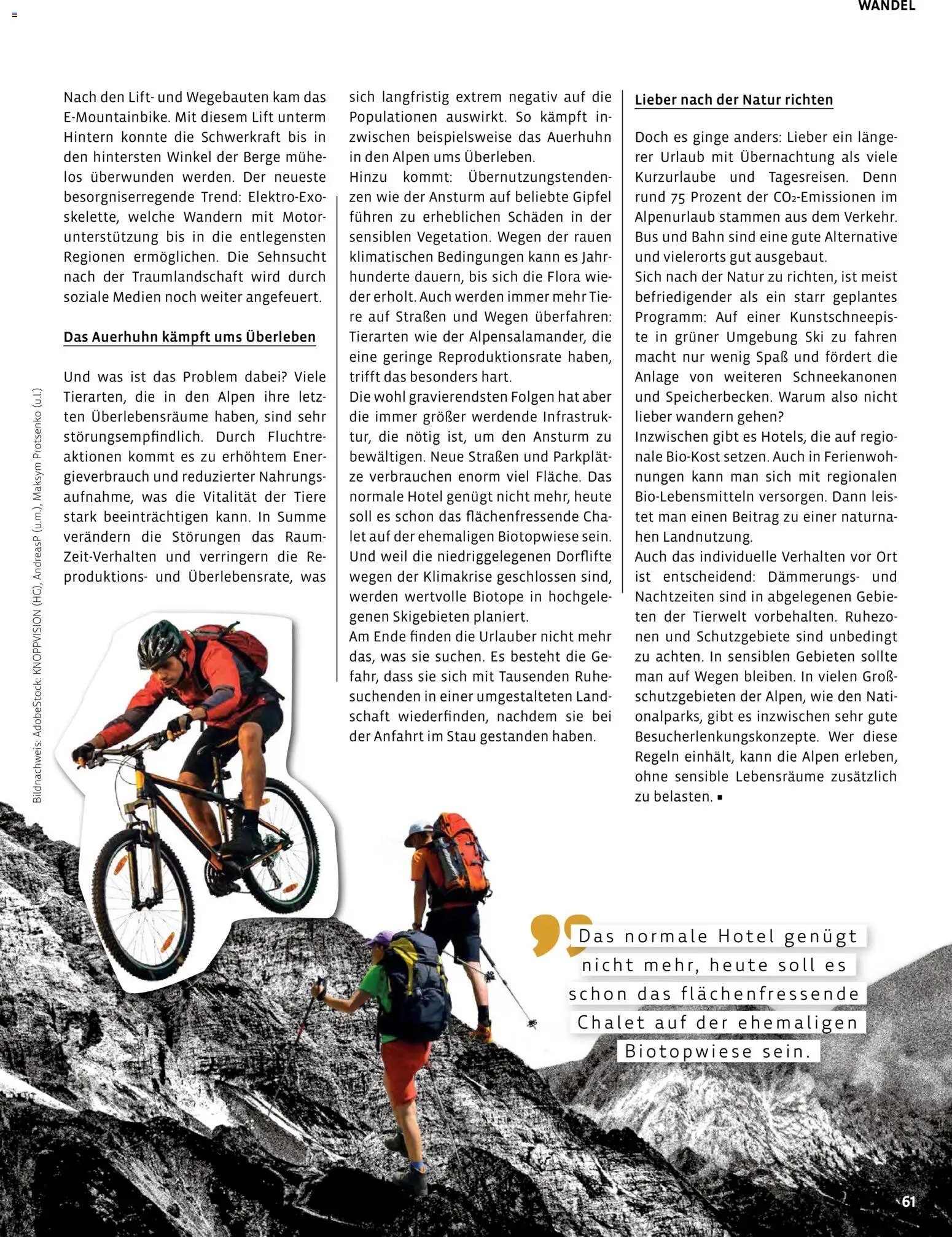 Denns BioMarkt Kreo Magazin