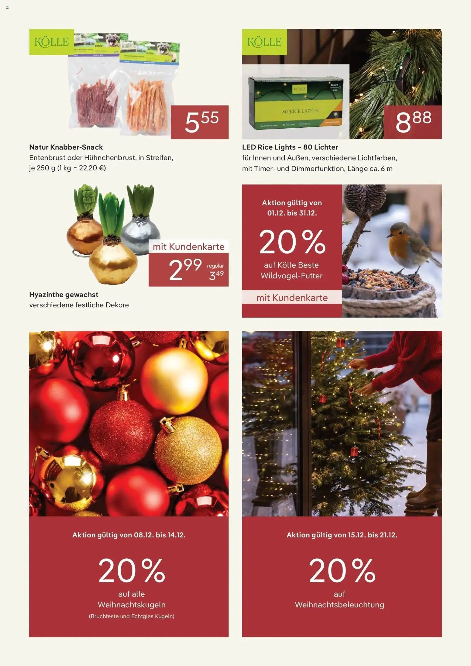 Pflanzen-Kölle Dauerhaft niedrige Preise im Dezember