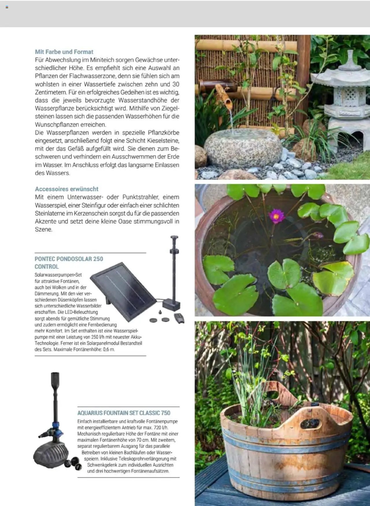 zookauf  Themenkatalog Teich