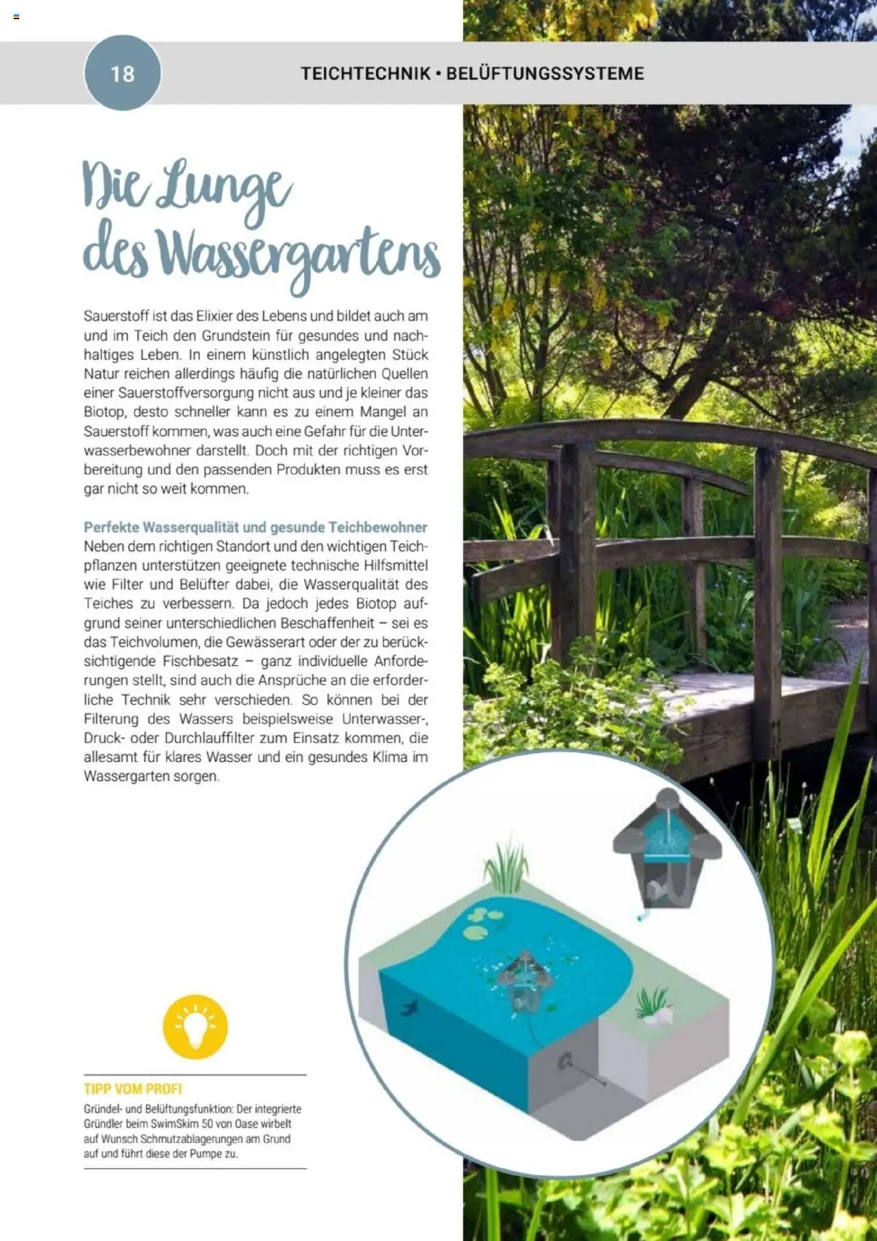 zookauf  Themenkatalog Teich