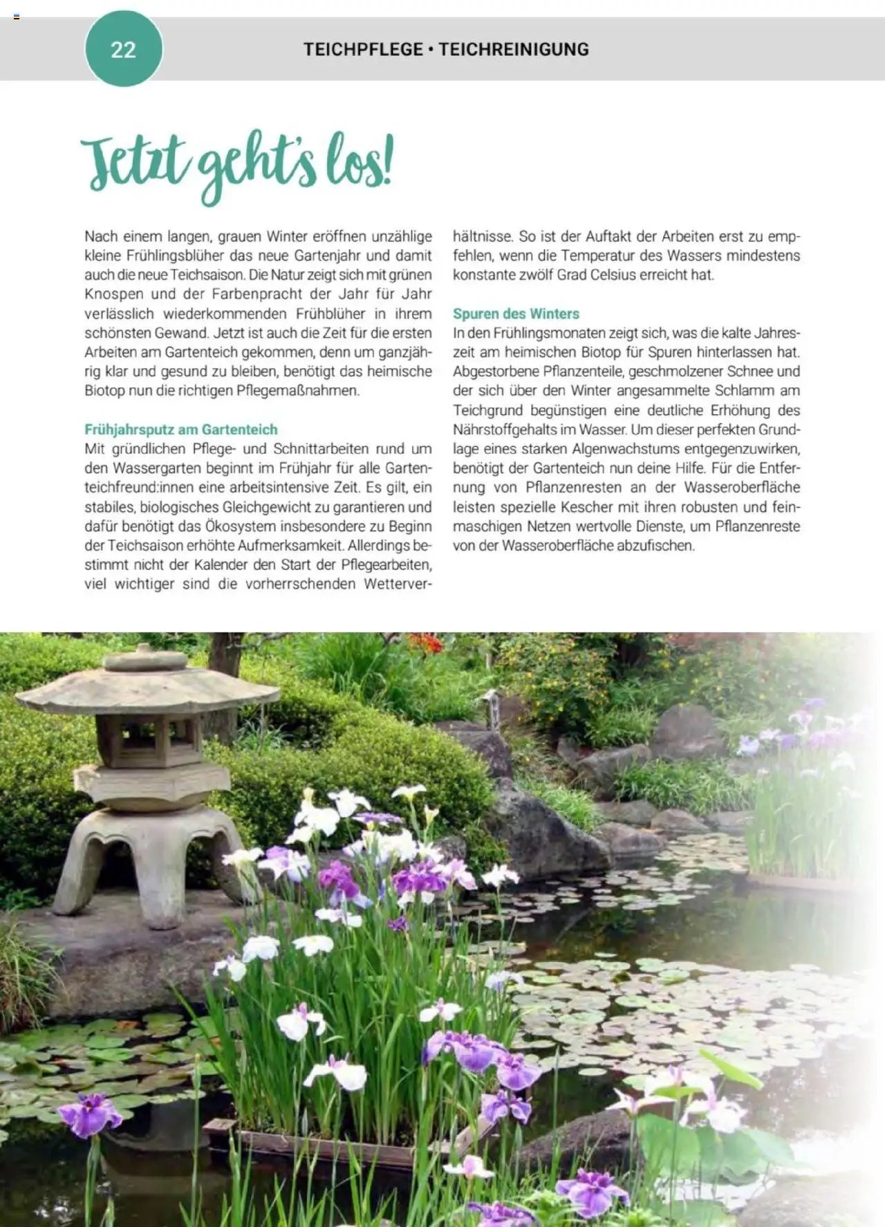 zookauf  Themenkatalog Teich