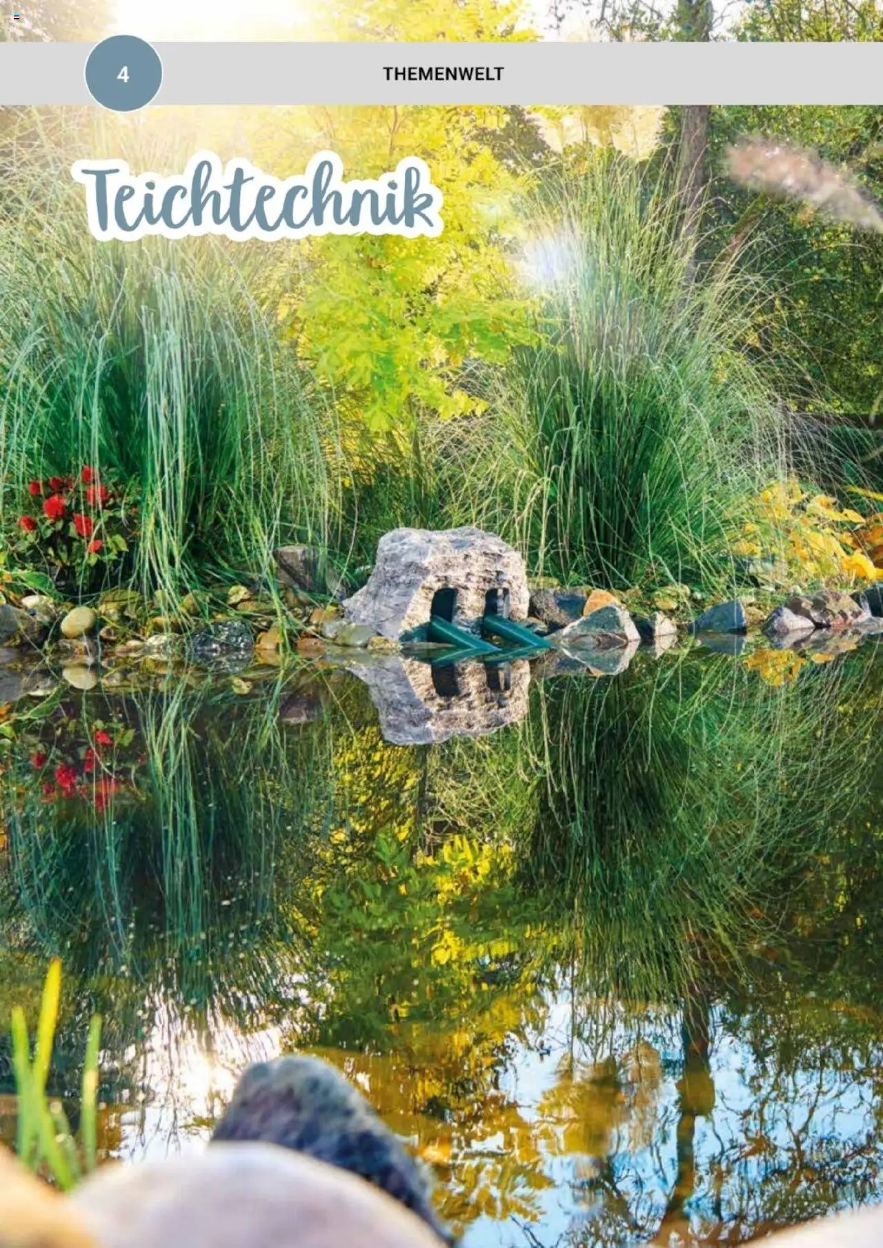 zookauf  Themenkatalog Teich