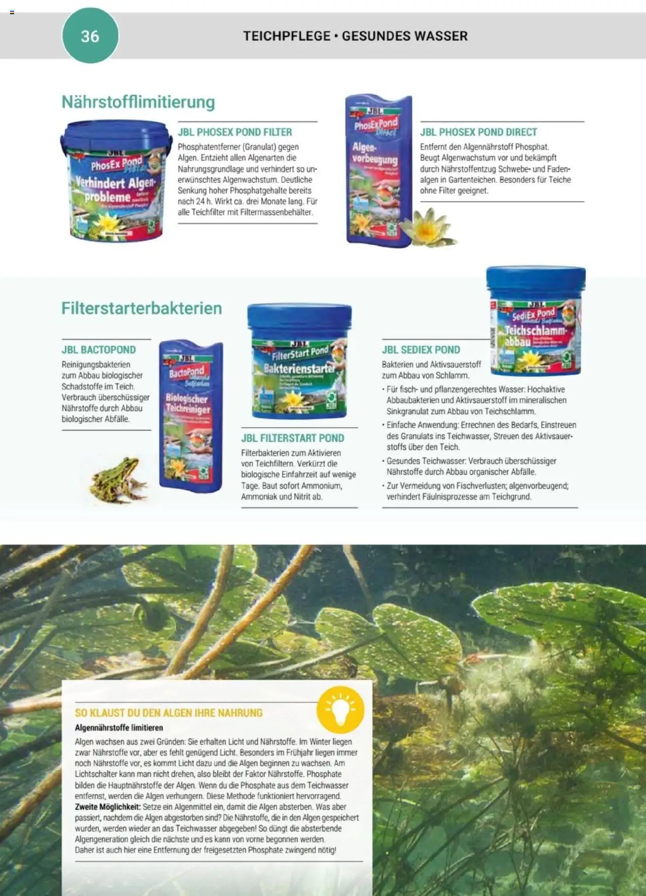 zookauf  Themenkatalog Teich