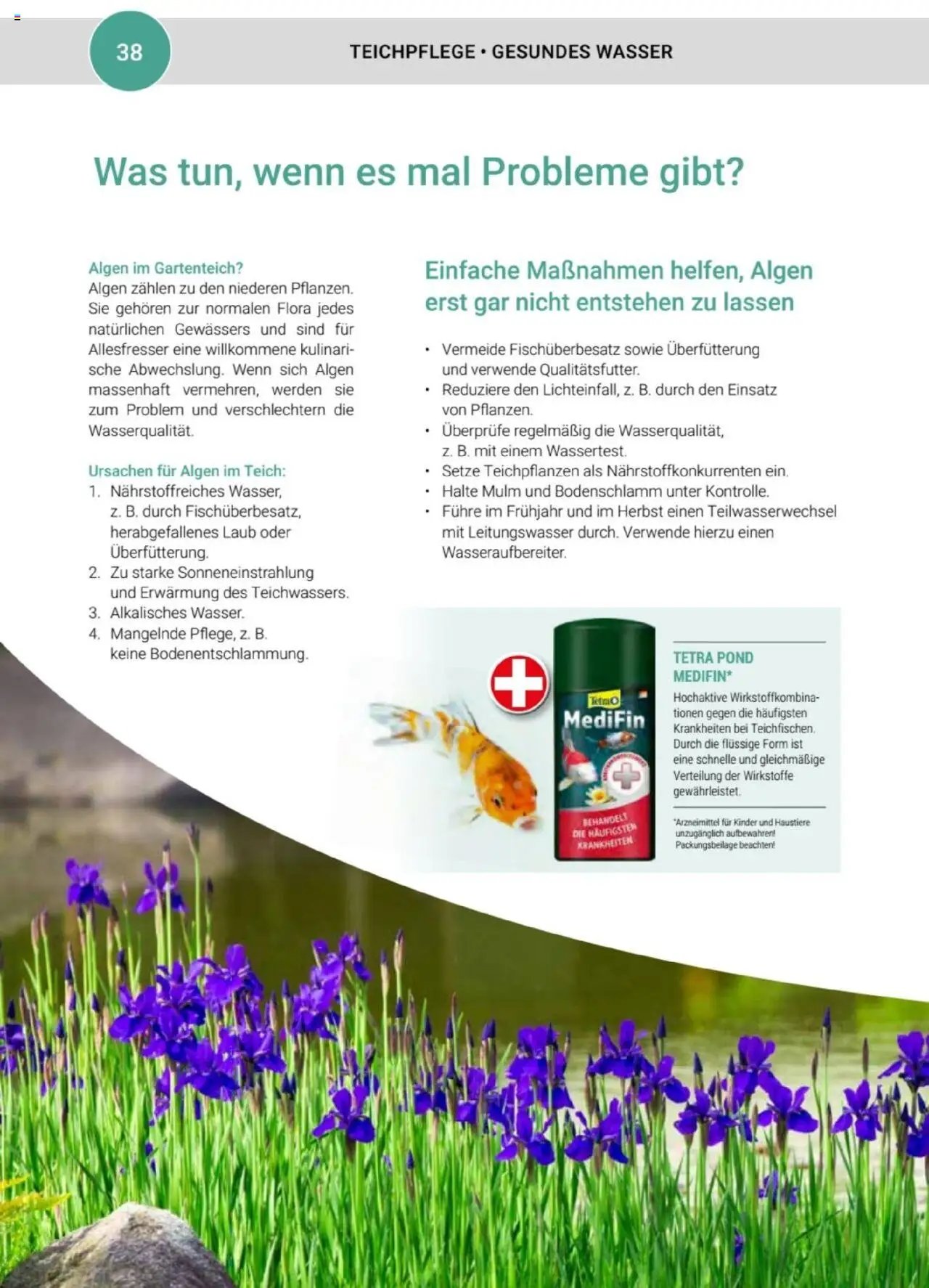 zookauf  Themenkatalog Teich
