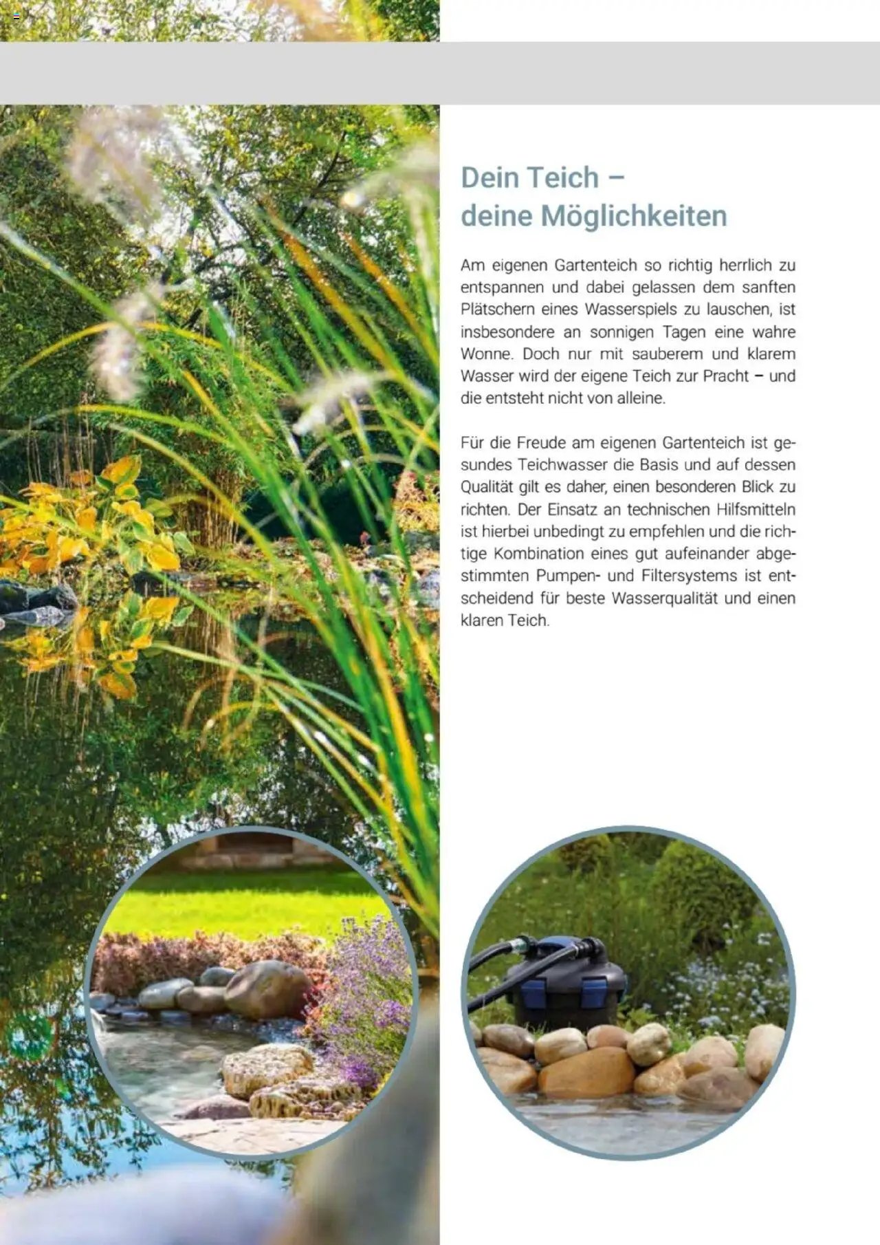 zookauf  Themenkatalog Teich