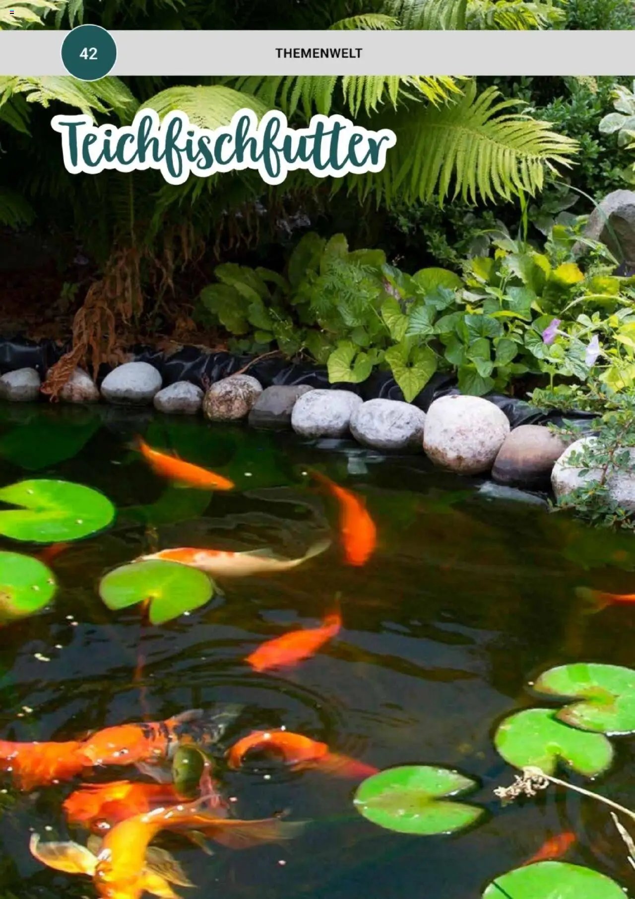 zookauf  Themenkatalog Teich