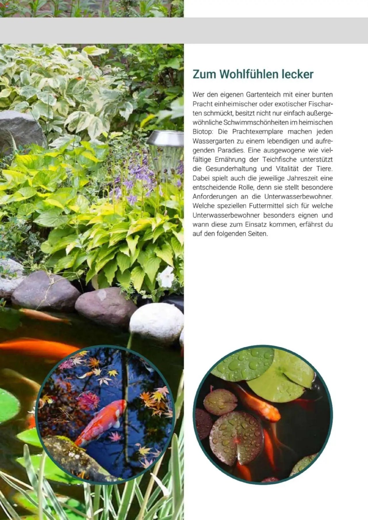 zookauf  Themenkatalog Teich