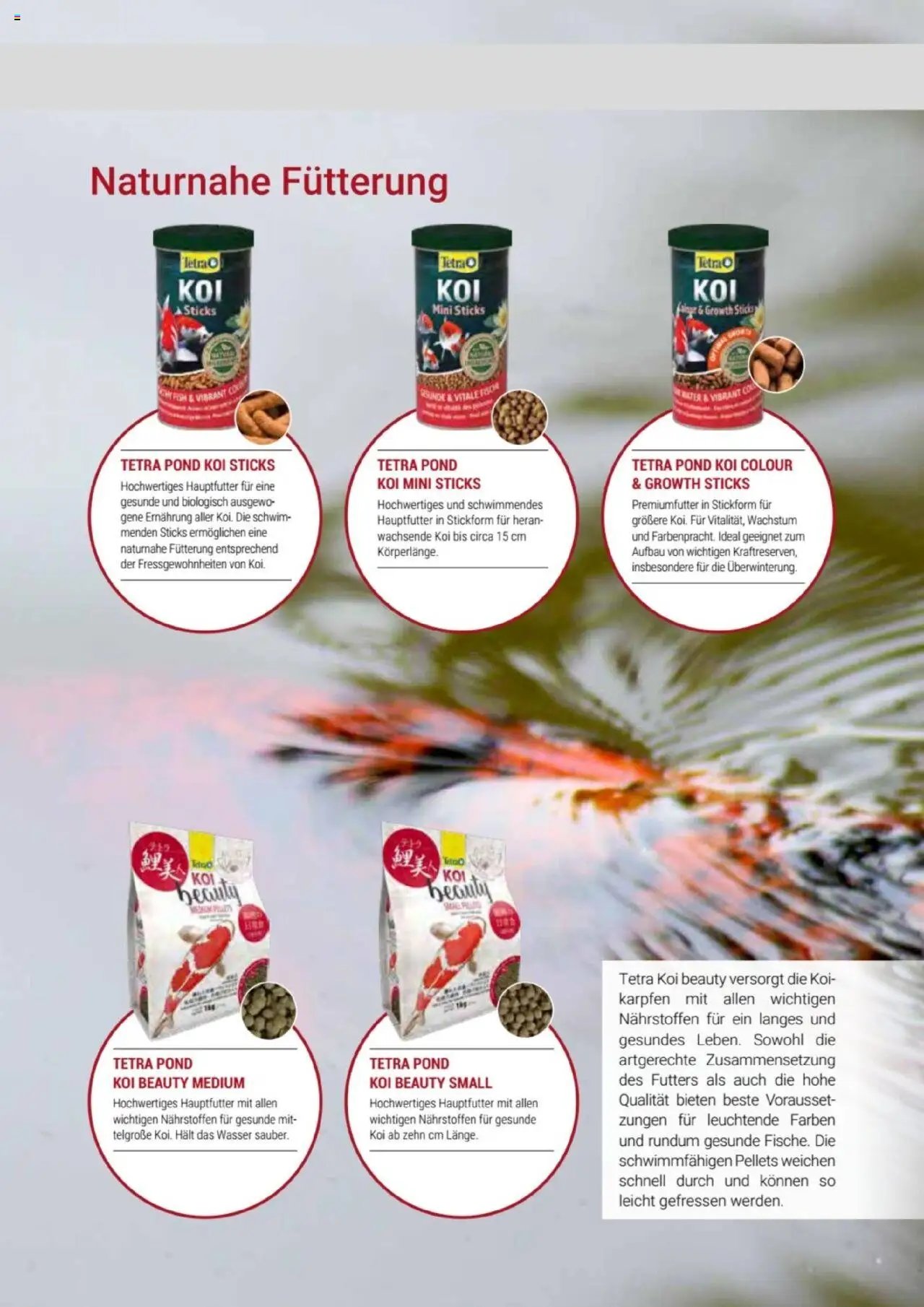 zookauf  Themenkatalog Teich