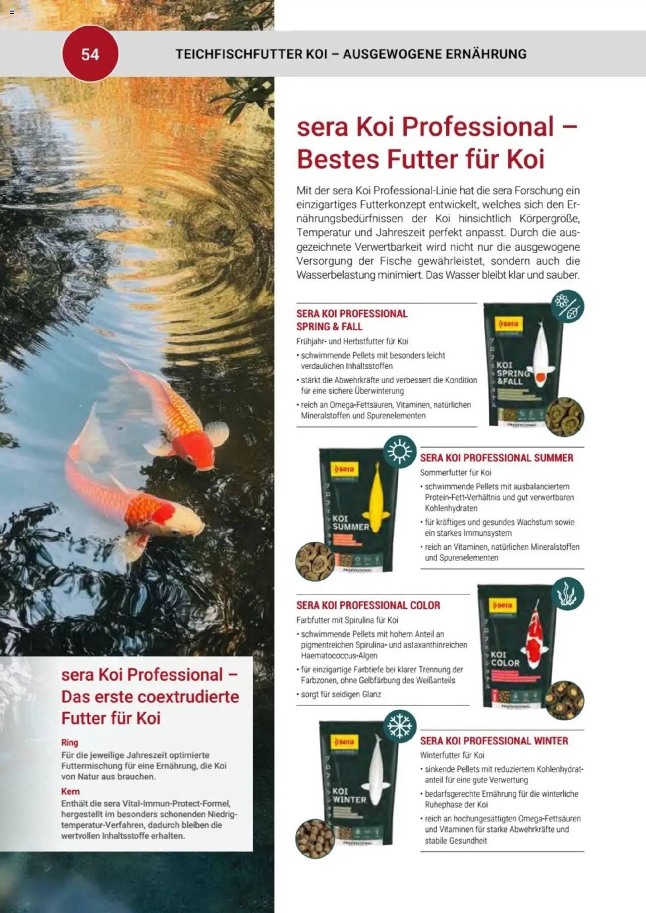 zookauf  Themenkatalog Teich