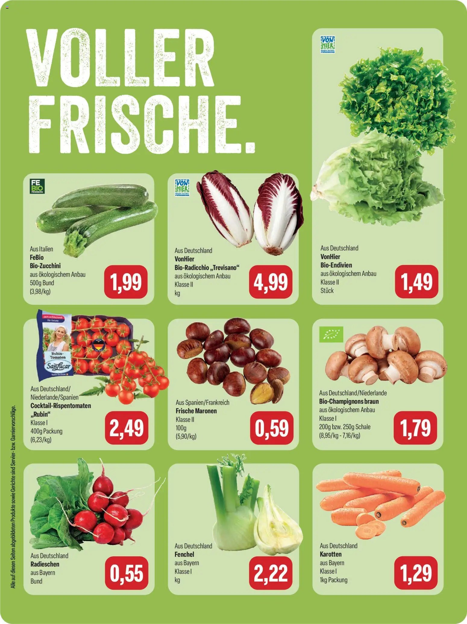 Feneberg Angebote