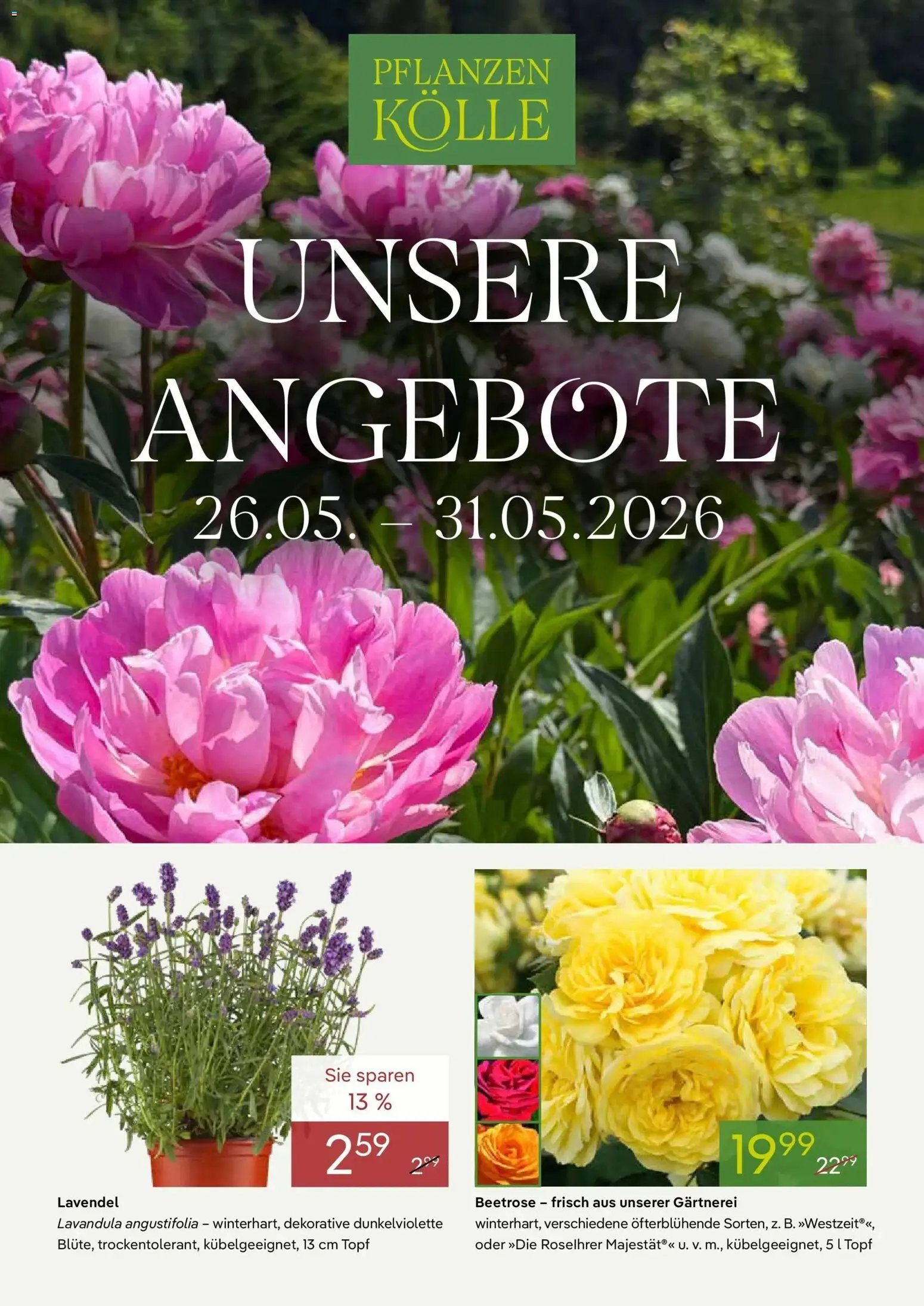 Pflanzen-Kölle Unsere Angebote