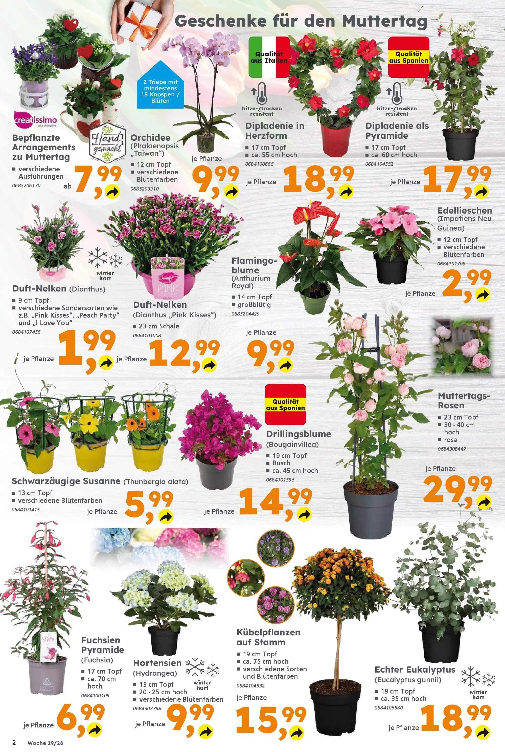 Globus Baumarkt Prospekt Müllheim	