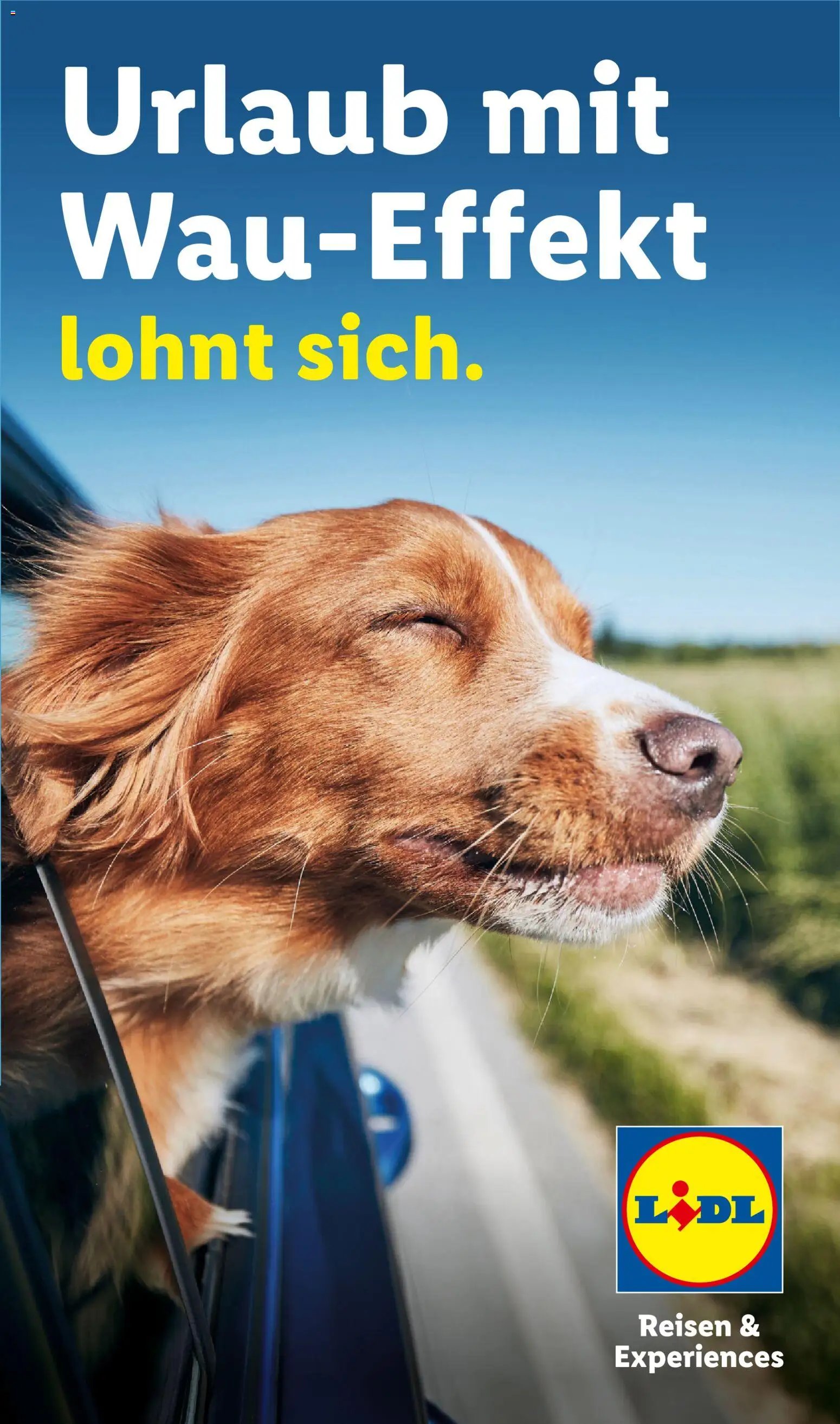 Lidl Reisen Hundeflyer
