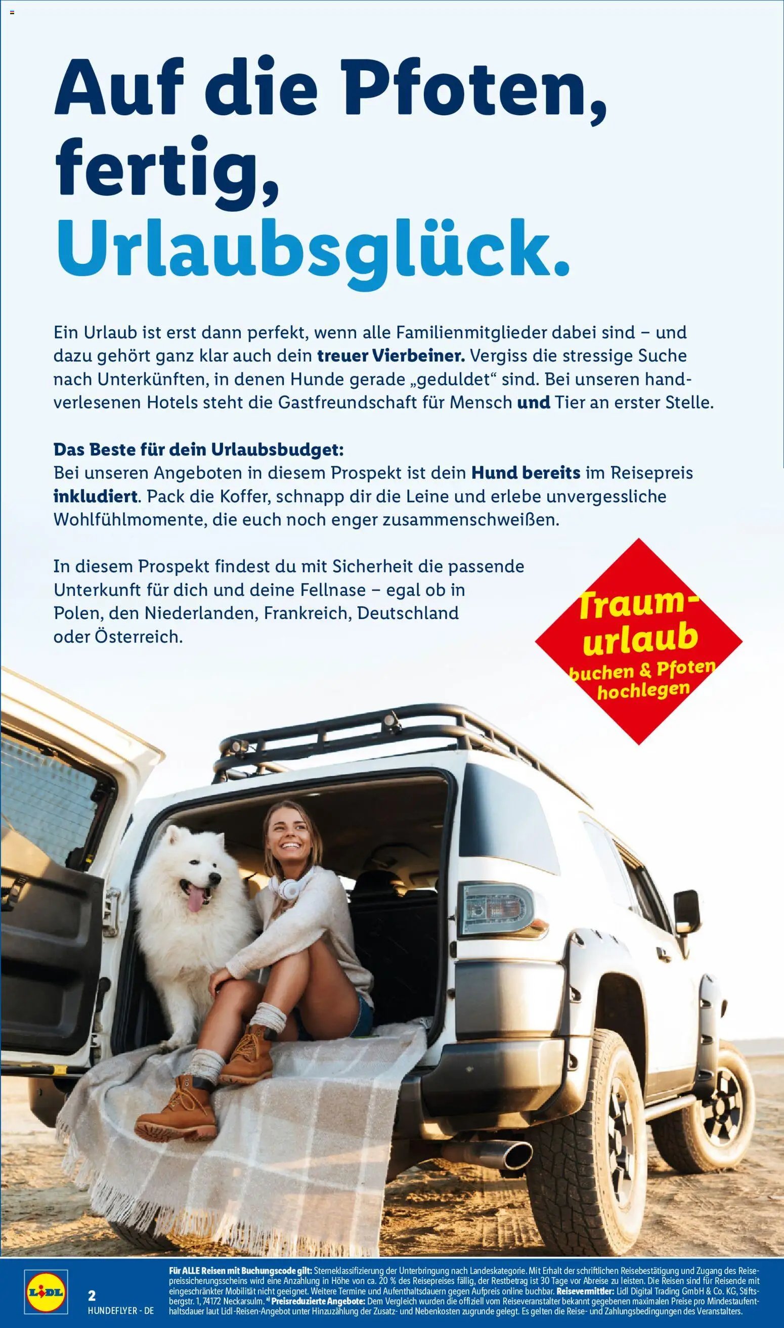 Lidl Reisen Hundeflyer